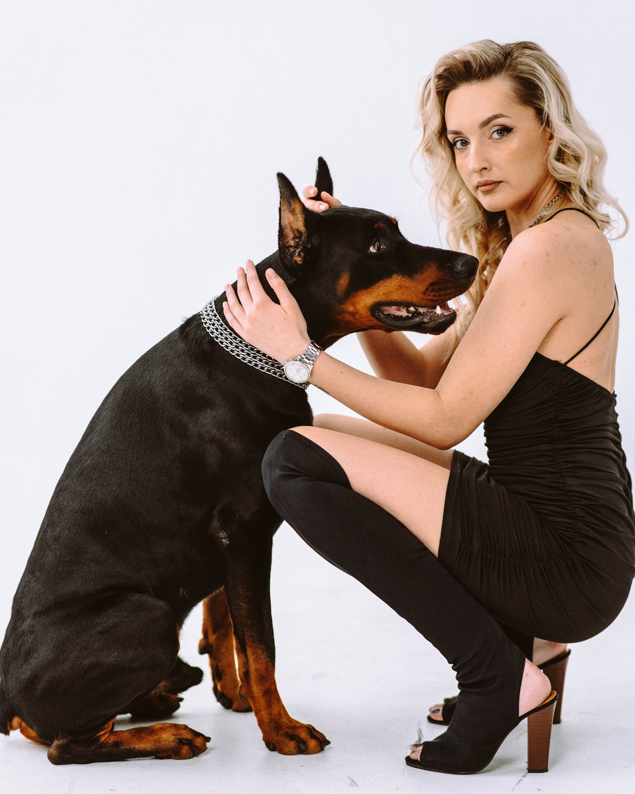 Фотодень с доберманом