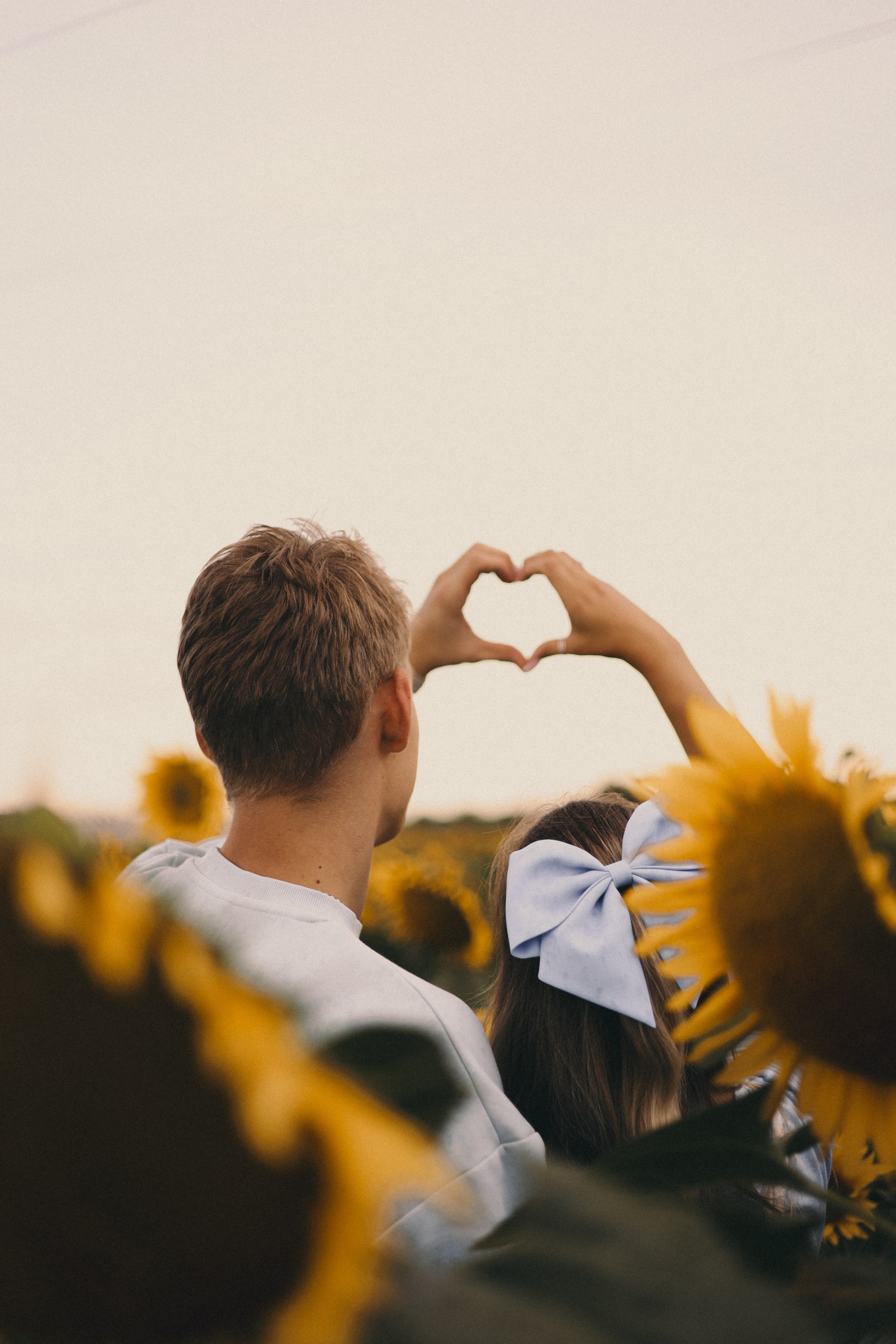 Михаил и Валерия | Подсолнухи. Фотограф Мария Лаенко