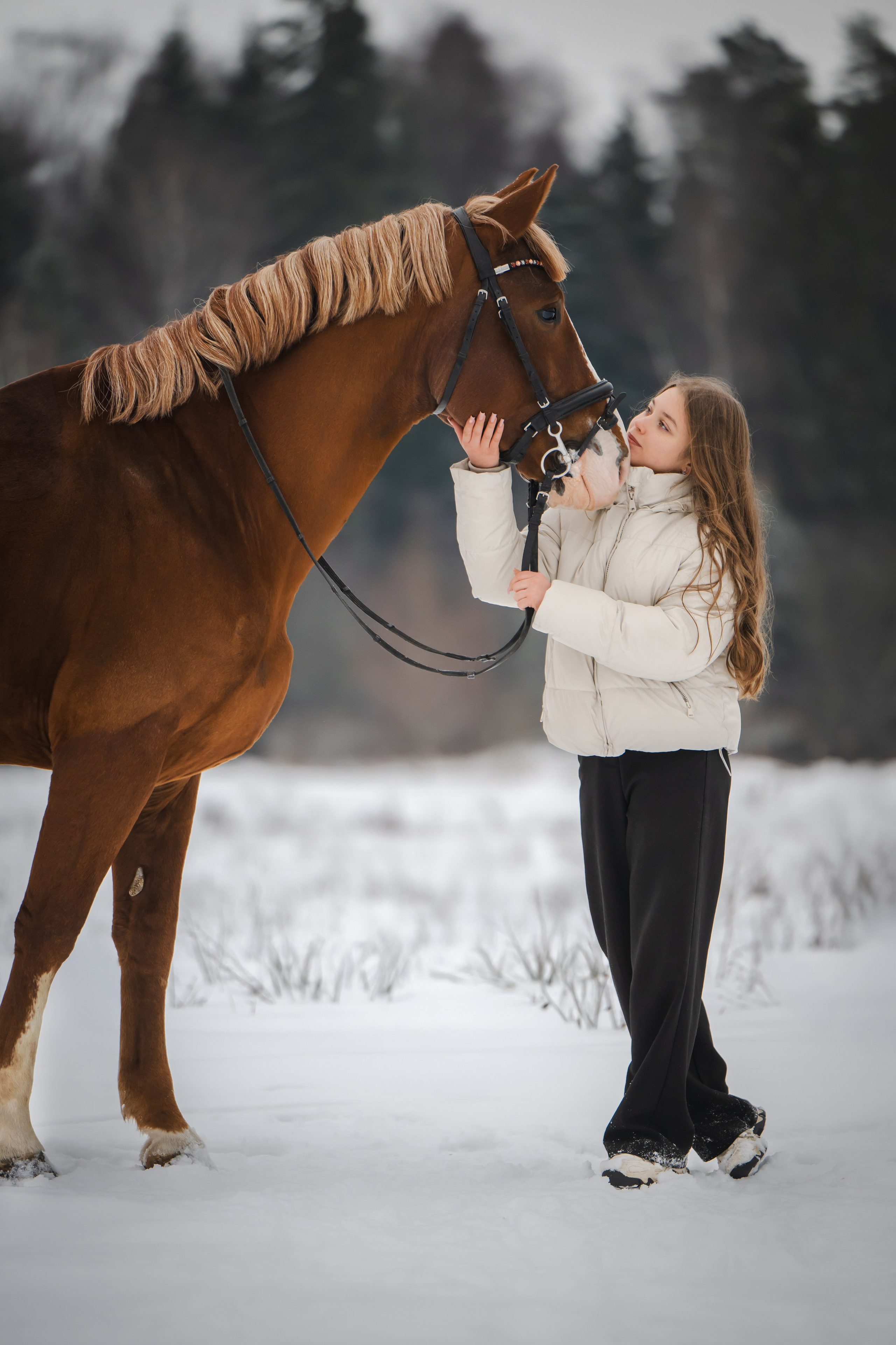 Виктория и Лео. Фотограф Анималист в Москве Анастасия Жучкова