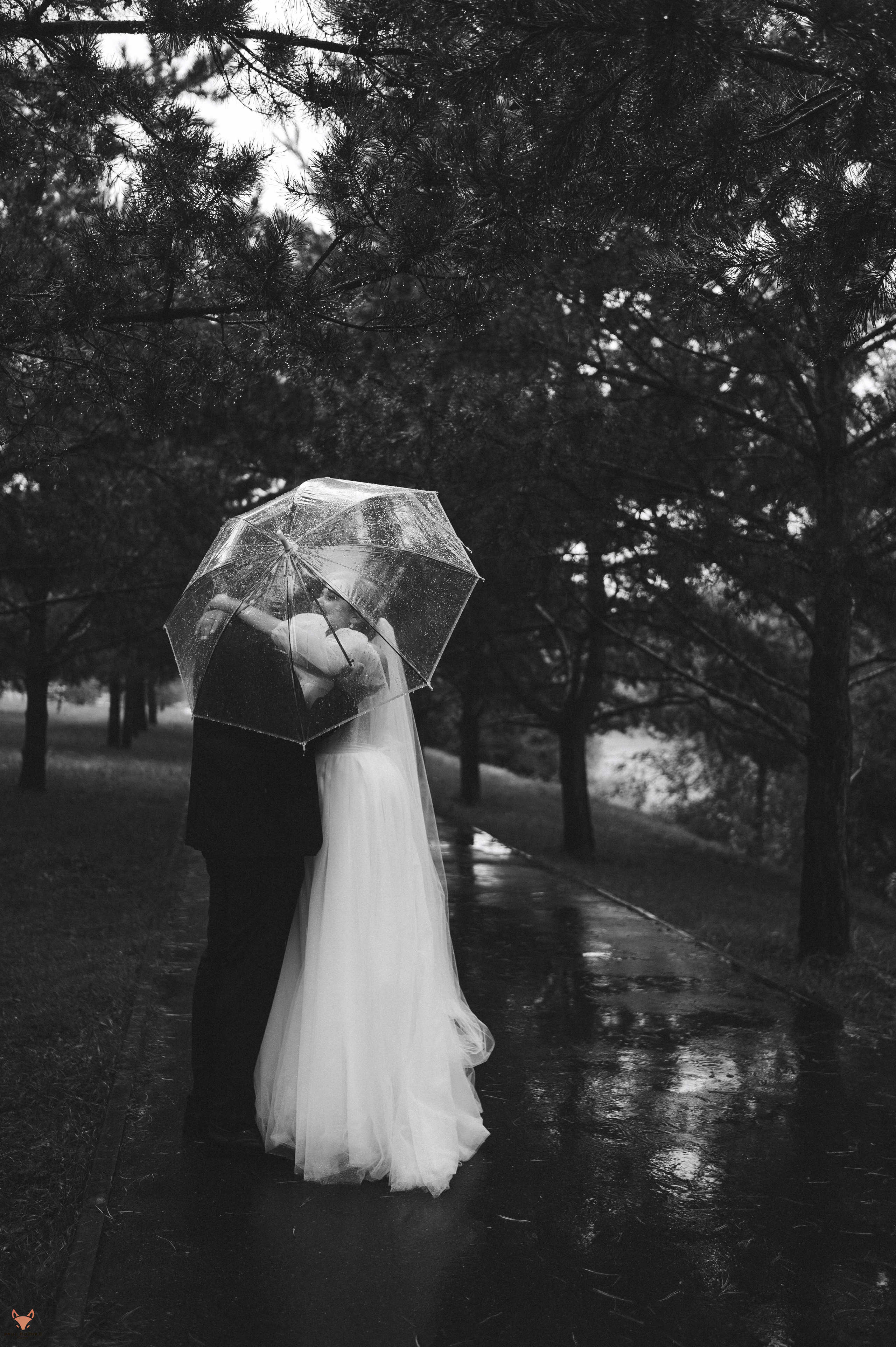 Ксения и Павел. Свадебный Фотограф Абакан