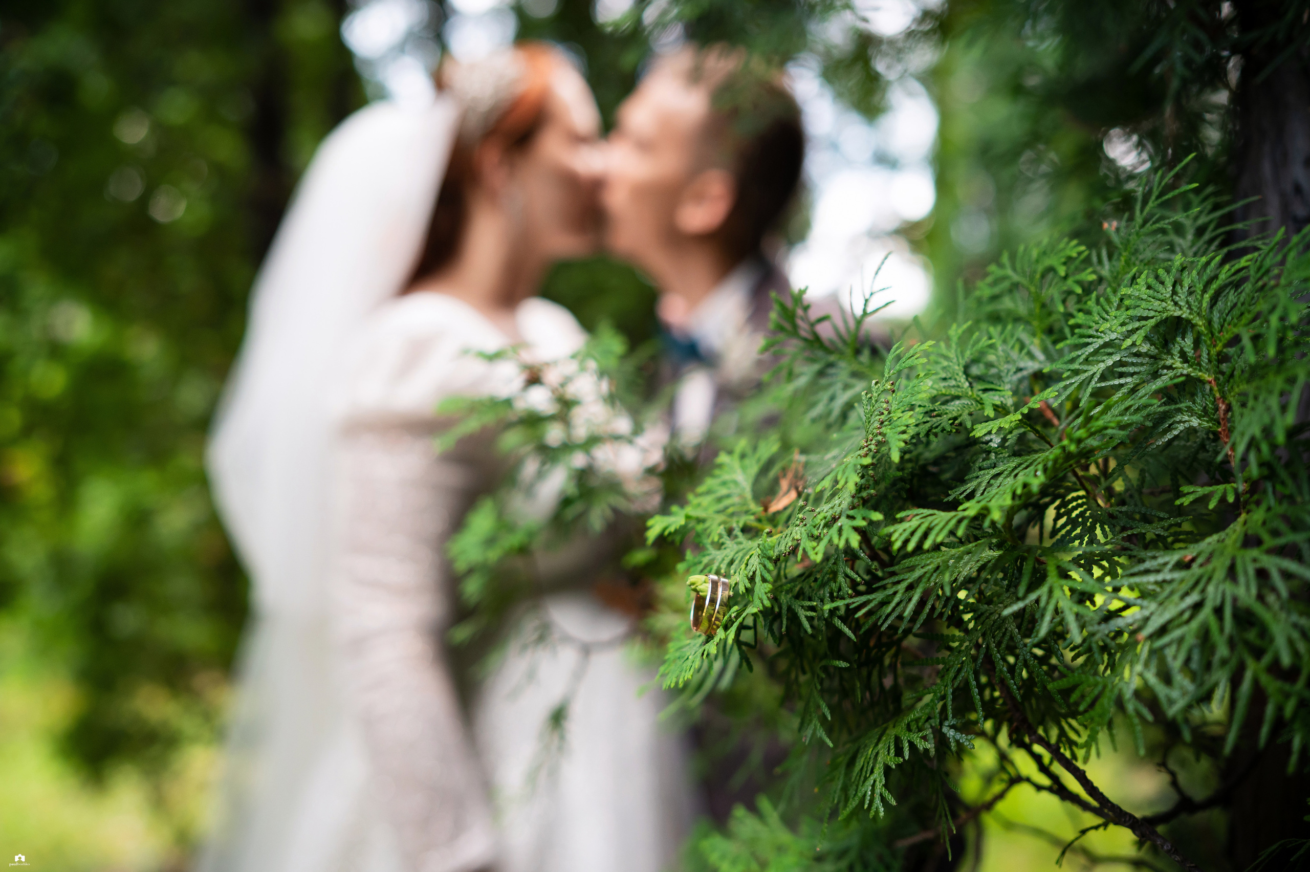 Свадебный Фотограф Абакан