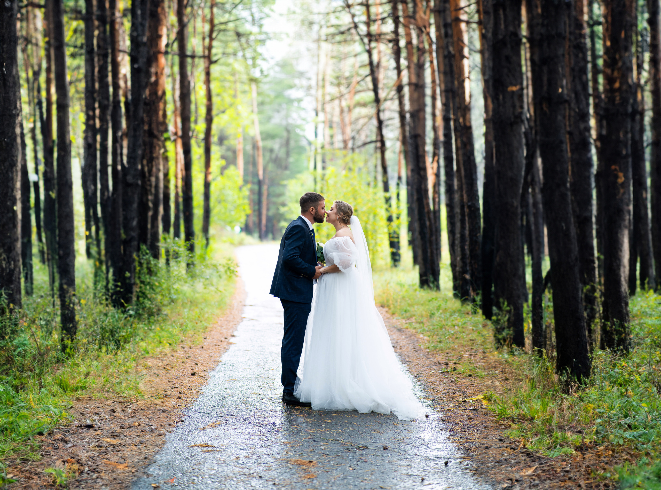 Ксения и Павел. Свадебный Фотограф Абакан