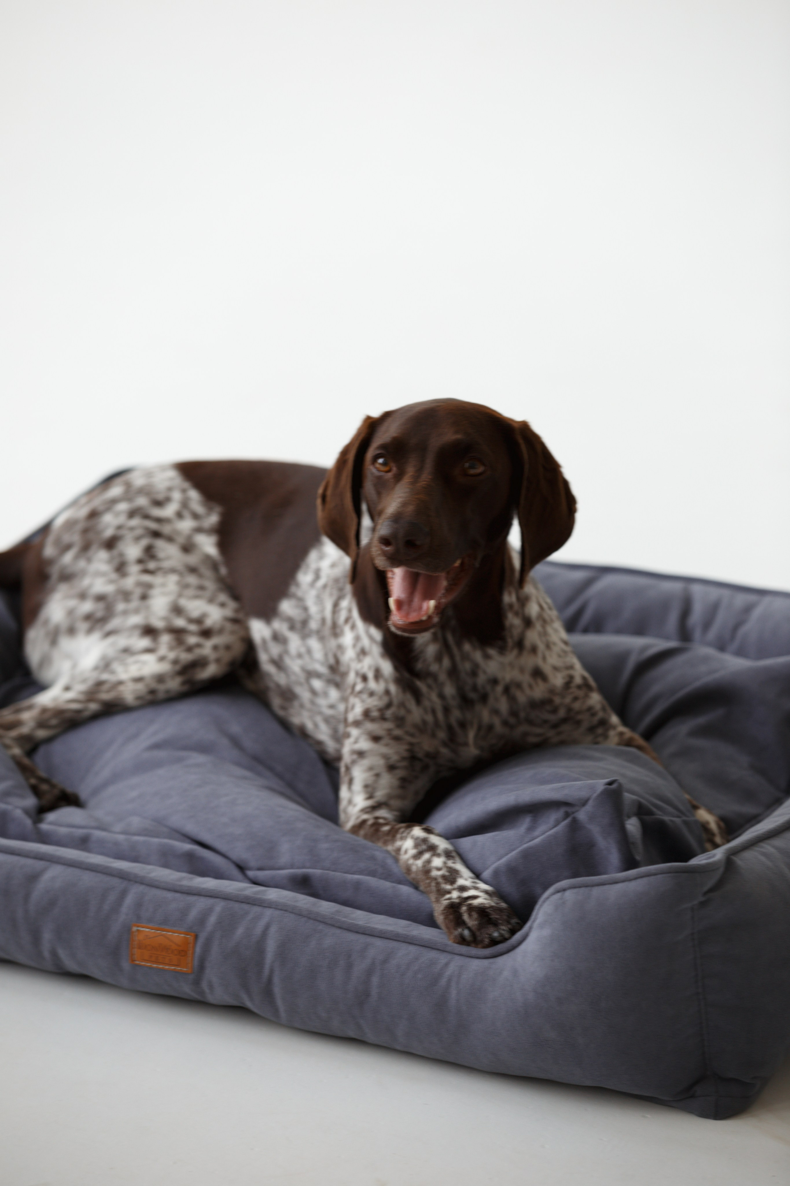 Boonwood Pets лежанки для животных. Фотограф анималист Кристина Карпова, Москва