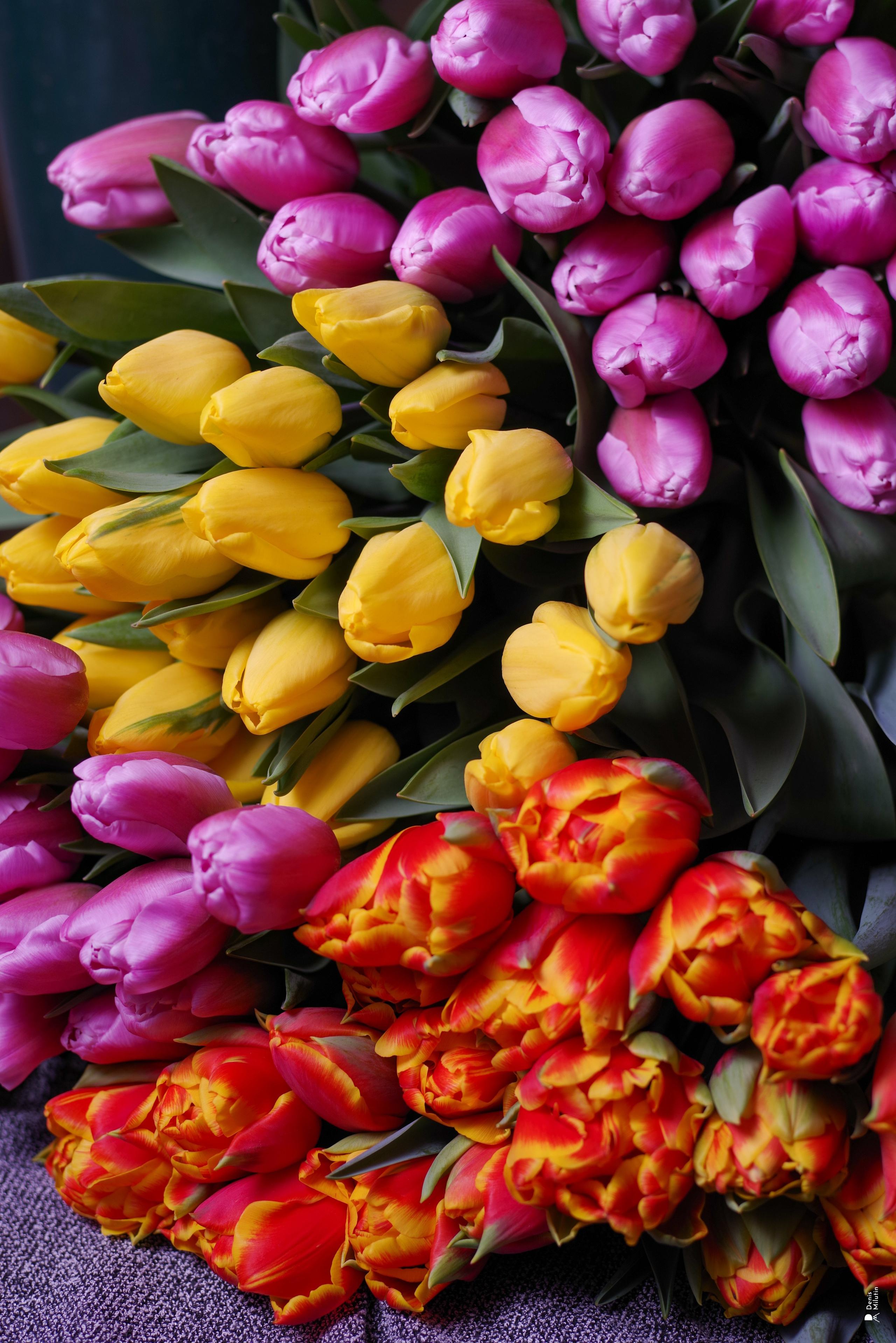 Салон цветов. Портретный фотограф Денис Милютин