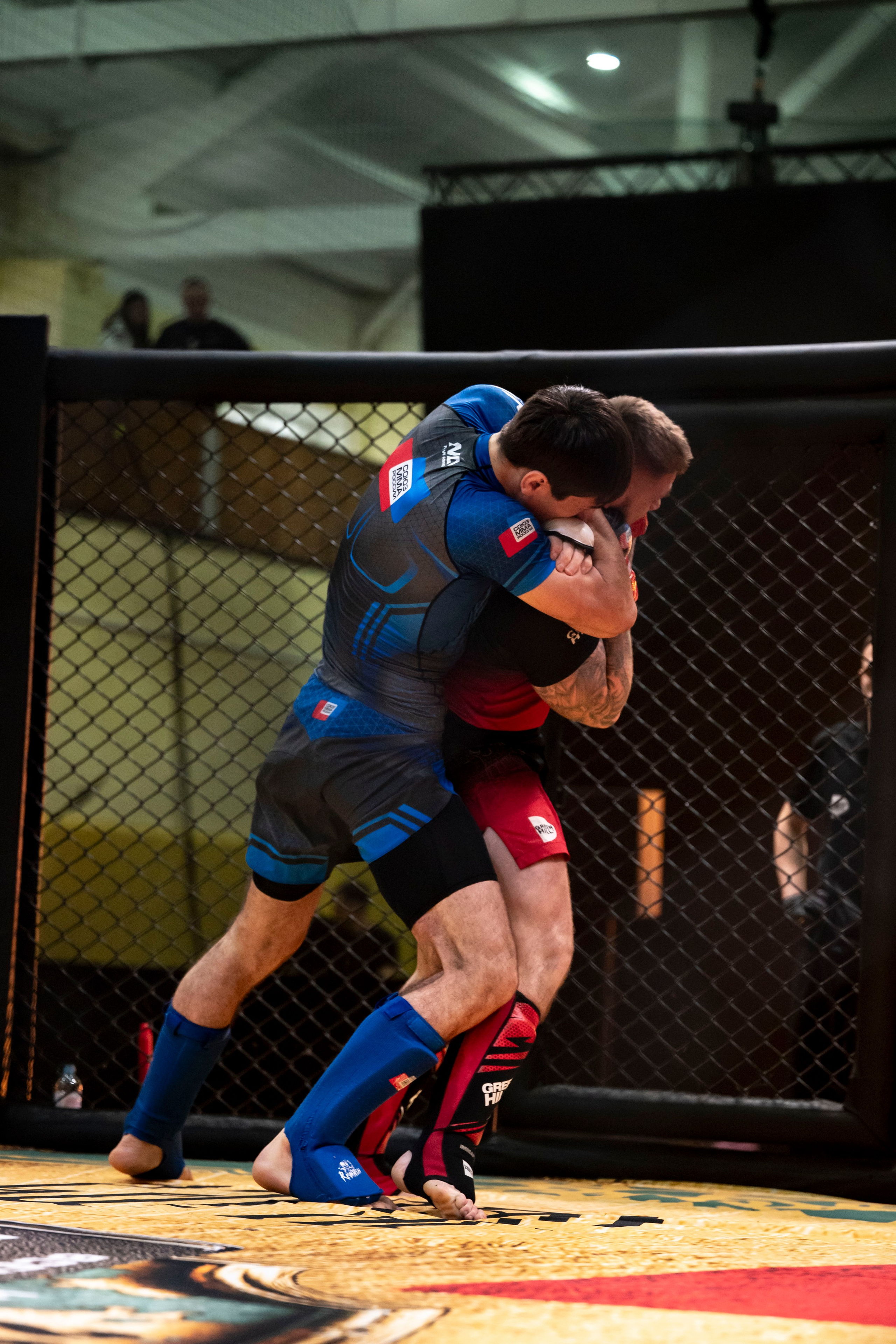 Всероссийский турнир ММА. Новомосковск, ноябрь 2025. Спортивный фотограф в Туле и Тульской области. Файсханова Фото Спорт