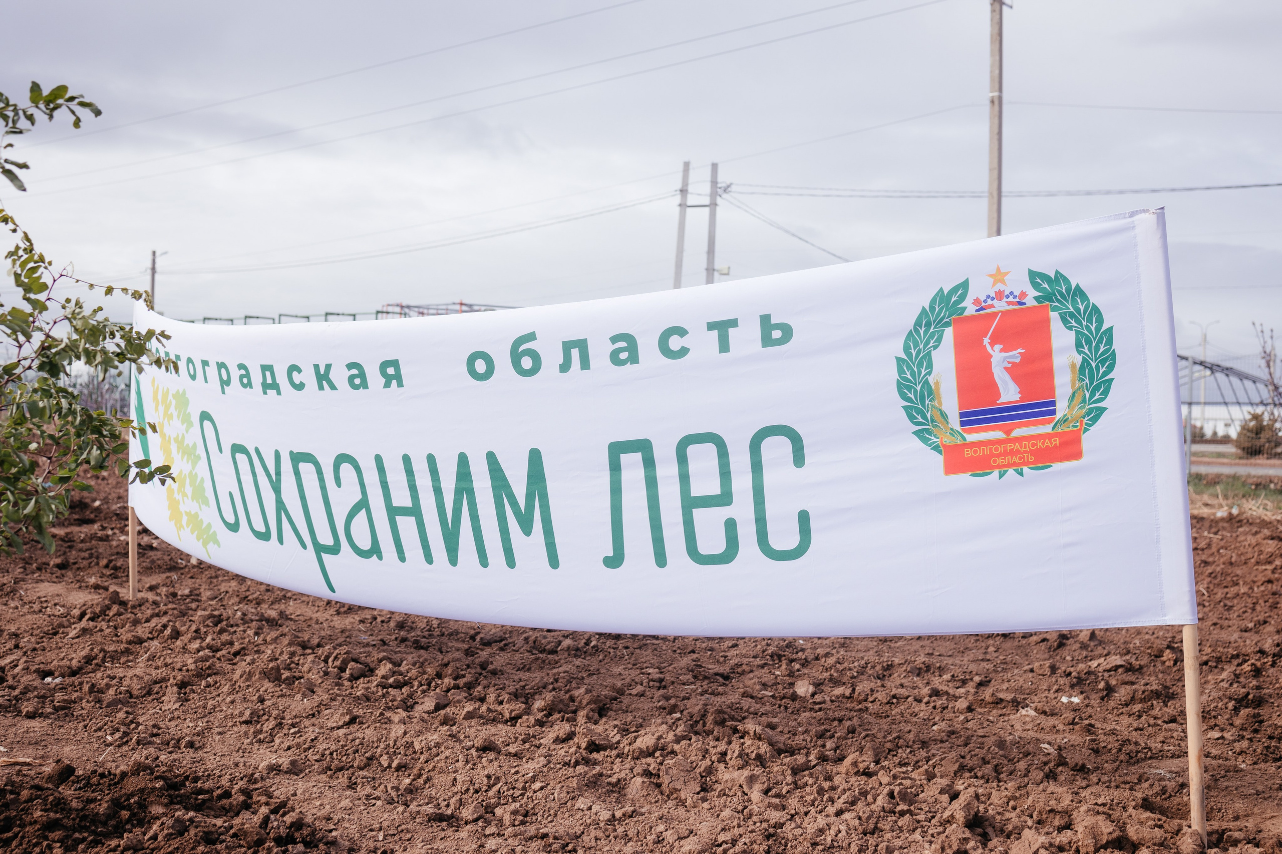 Сохраним лес. Фотограф Крохин Олег