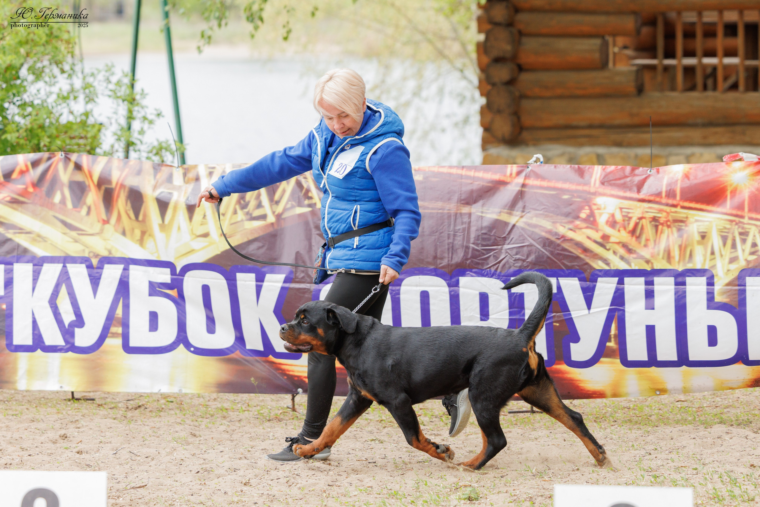 Саратов моно ротвейлеров 26-27.04.2025. Фотограф-анималист Юлия Германика