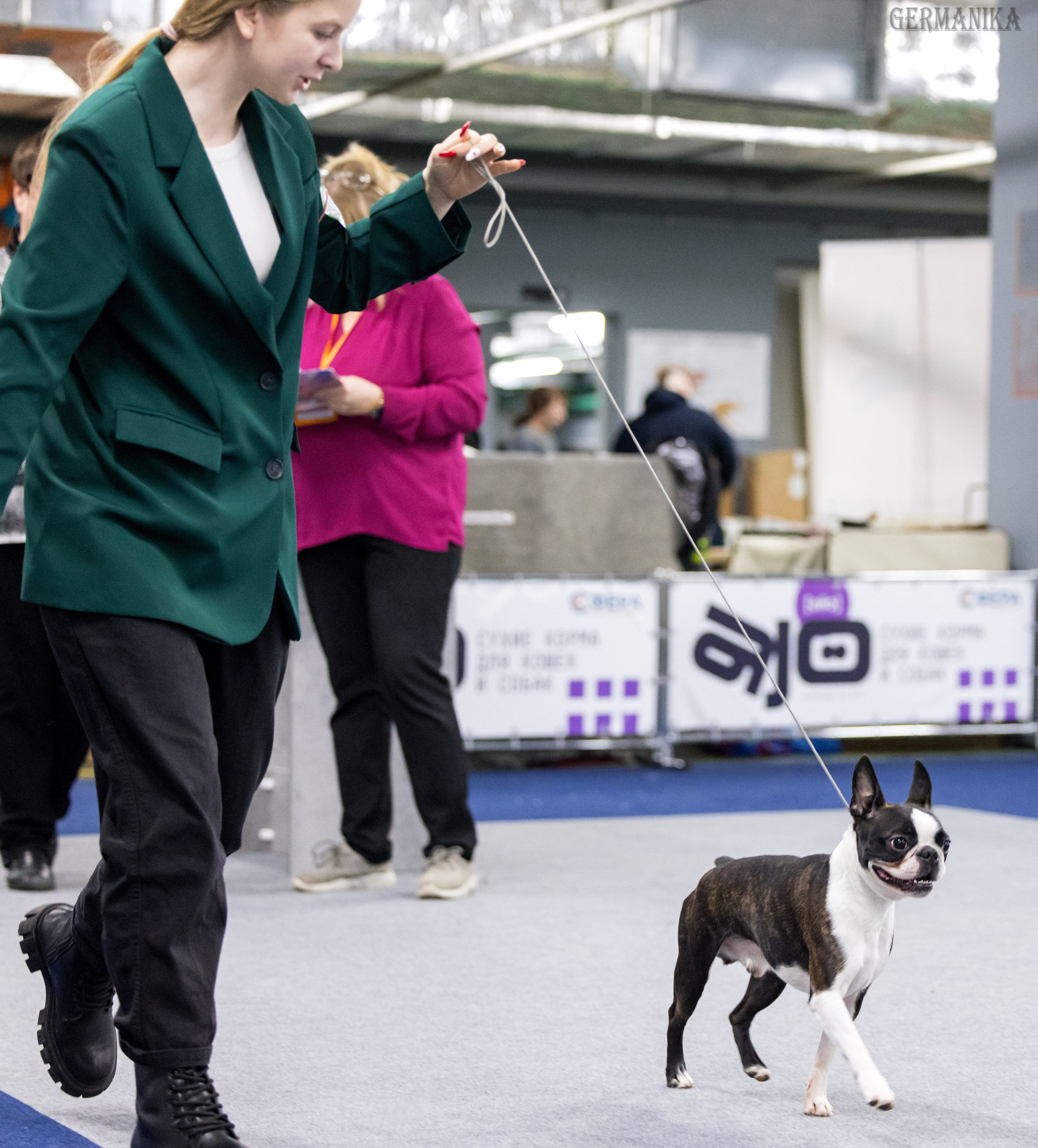 Сфера 28.01. и 4.02.2024. Фотограф-анималист Юлия Германика