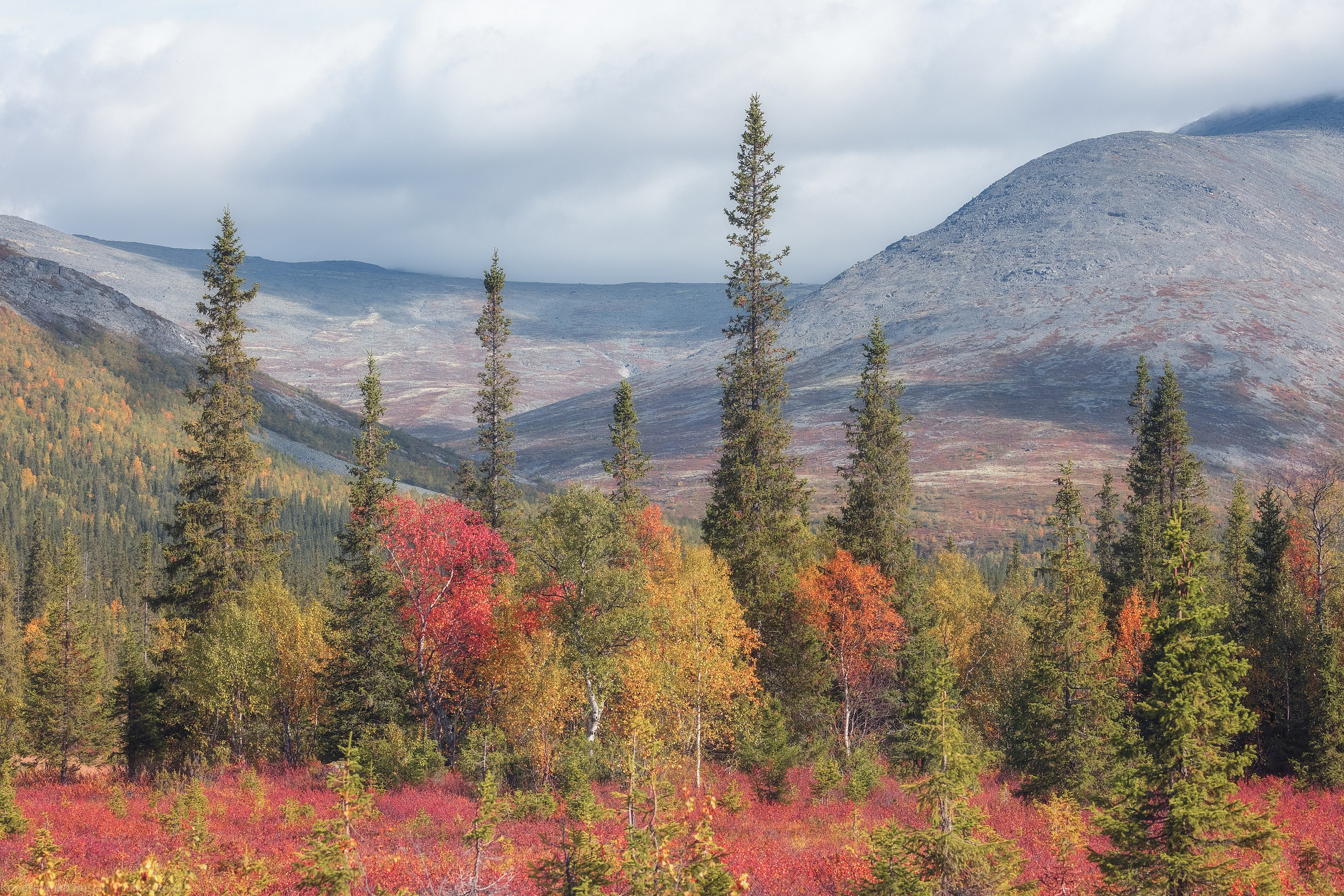 Хибины. Архитектурный и пейзажный фотограф Кондратенко Руслан, Санкт-Петербург
