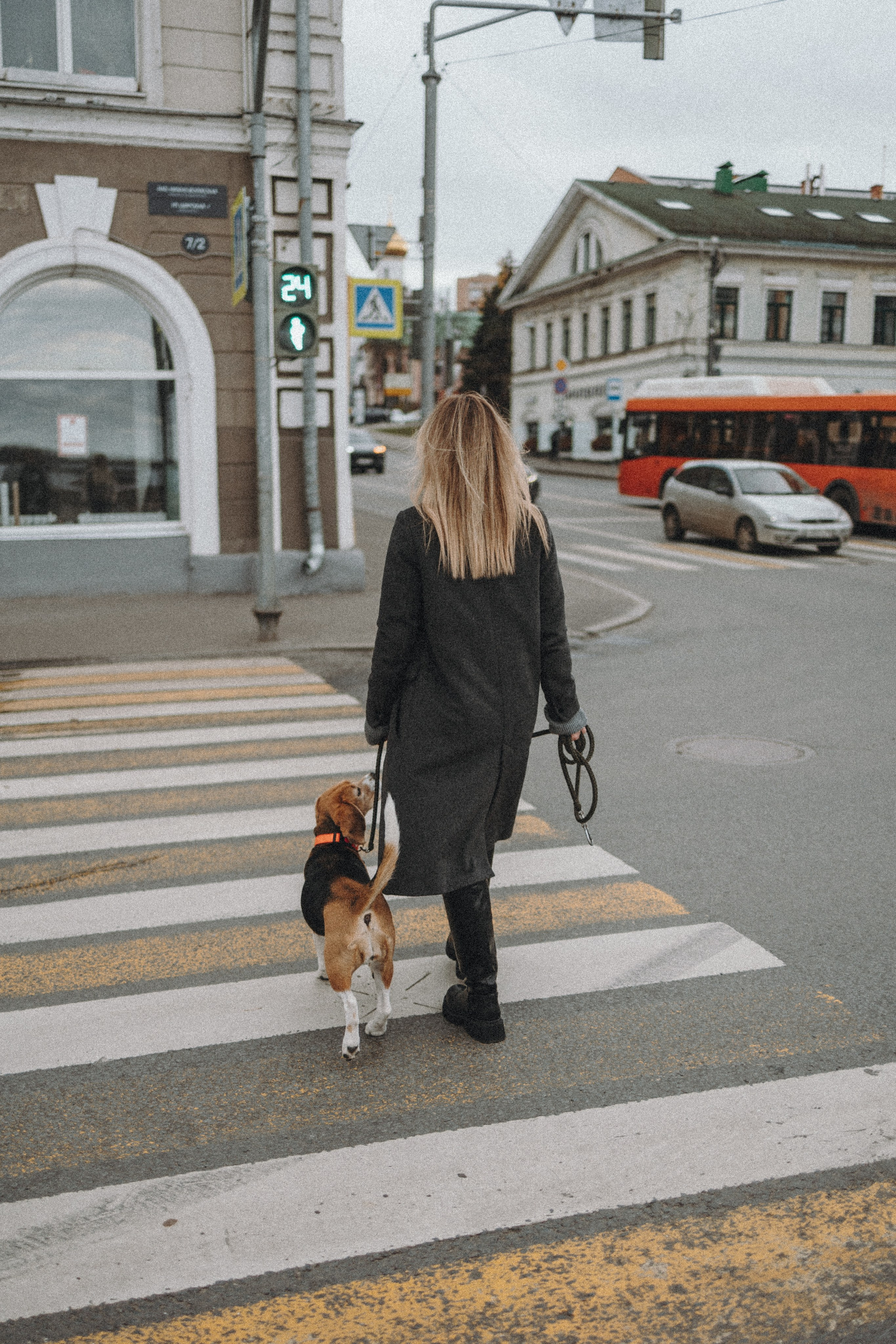 Аня и Моня. Фотограф — анималист Светлана Кысса|фотограф собак в Краснодаре и Нижнем Новгороде