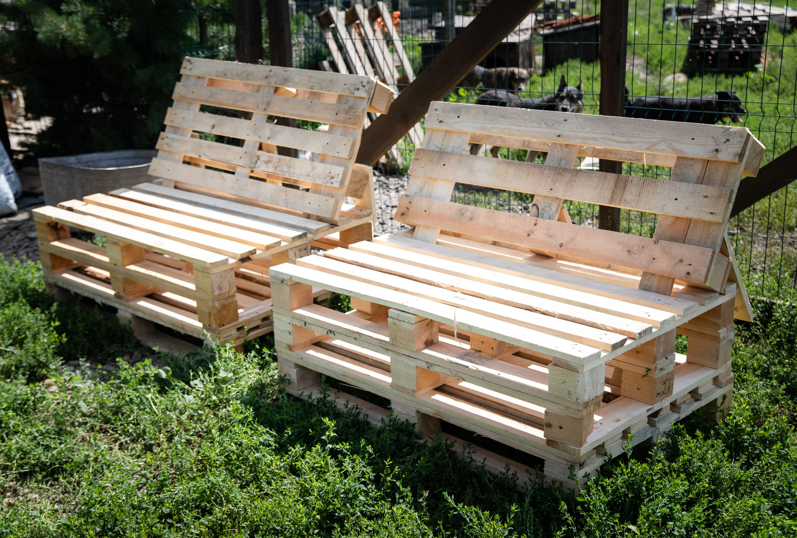 Приют — Наш дом. Репортажный и свадебный фотограф в Челябинске Елисеев Павел