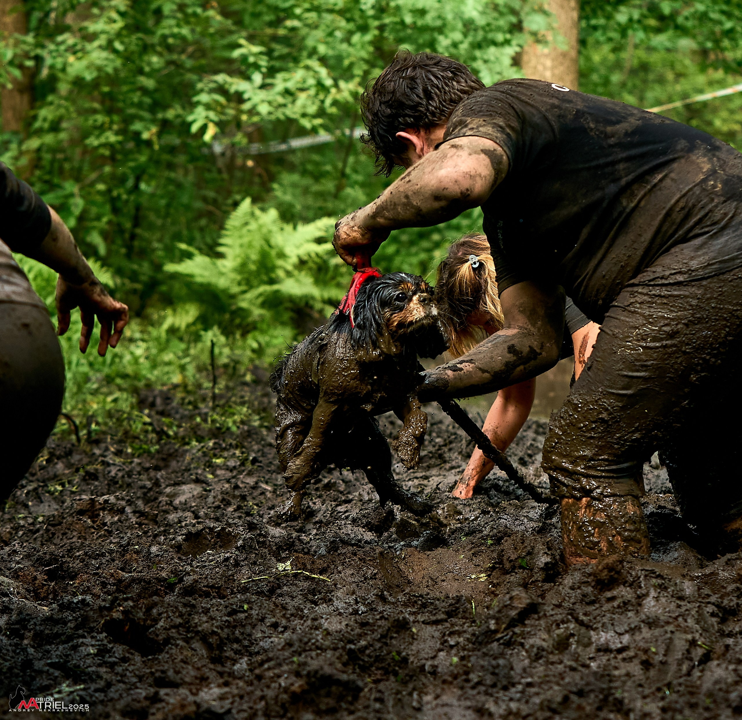 Russian Extreme Dog Trail — 2025