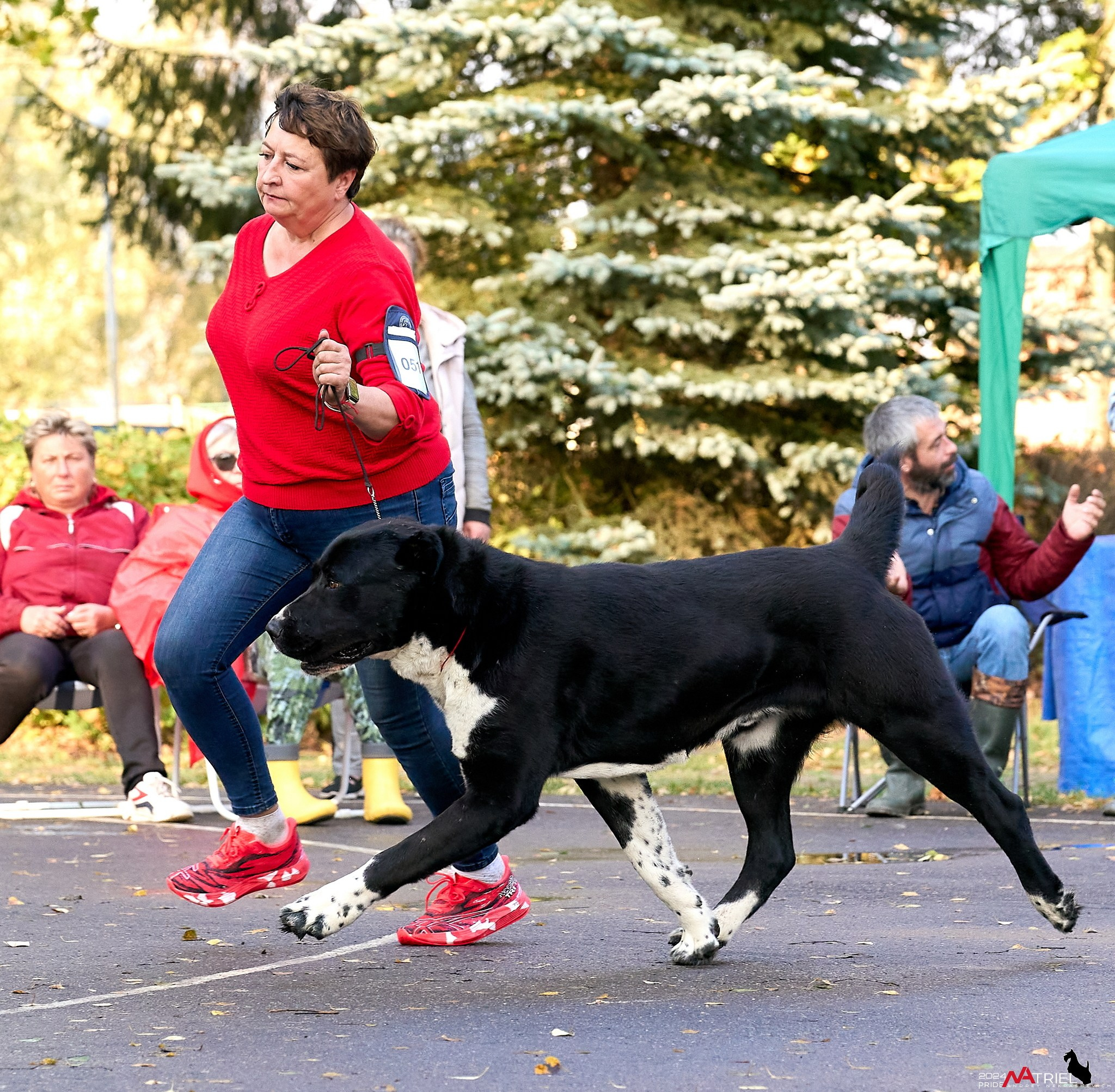 Съемка на выставке САО в Александров