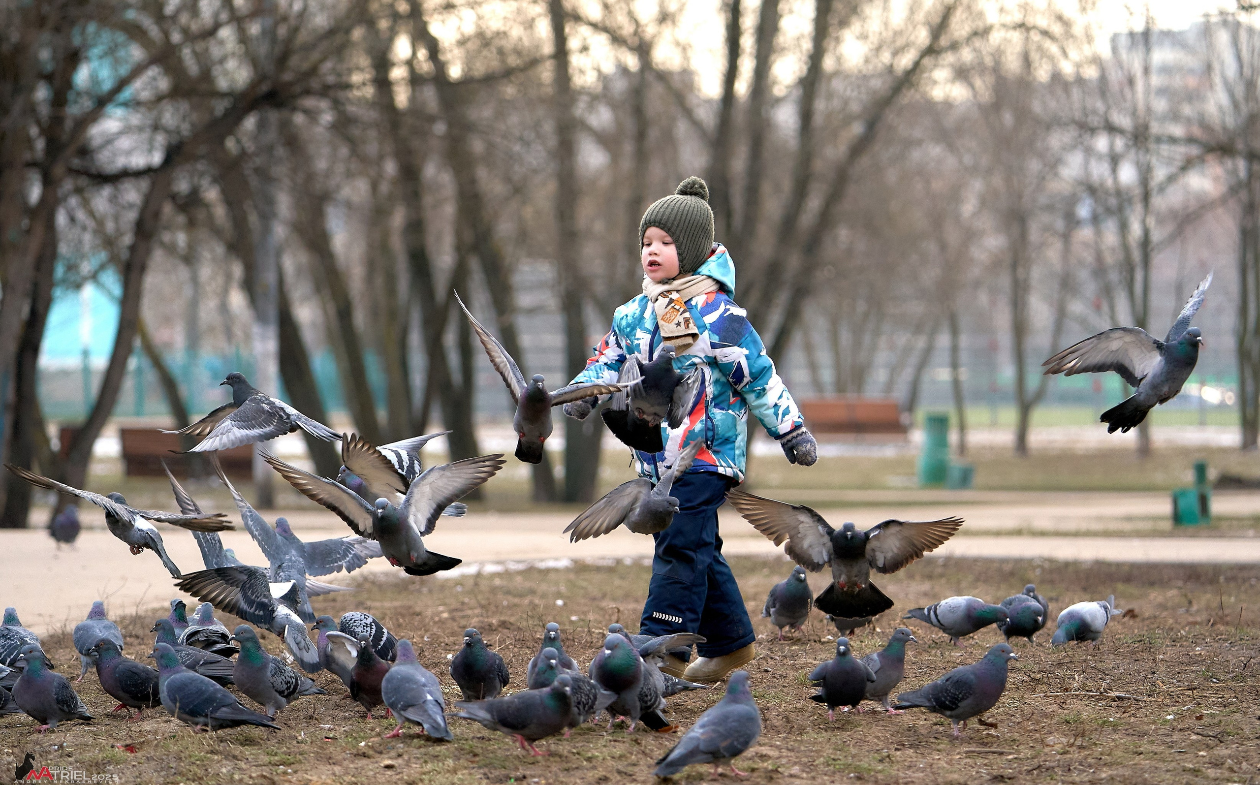 Фотопрогулка "вокруг дома"