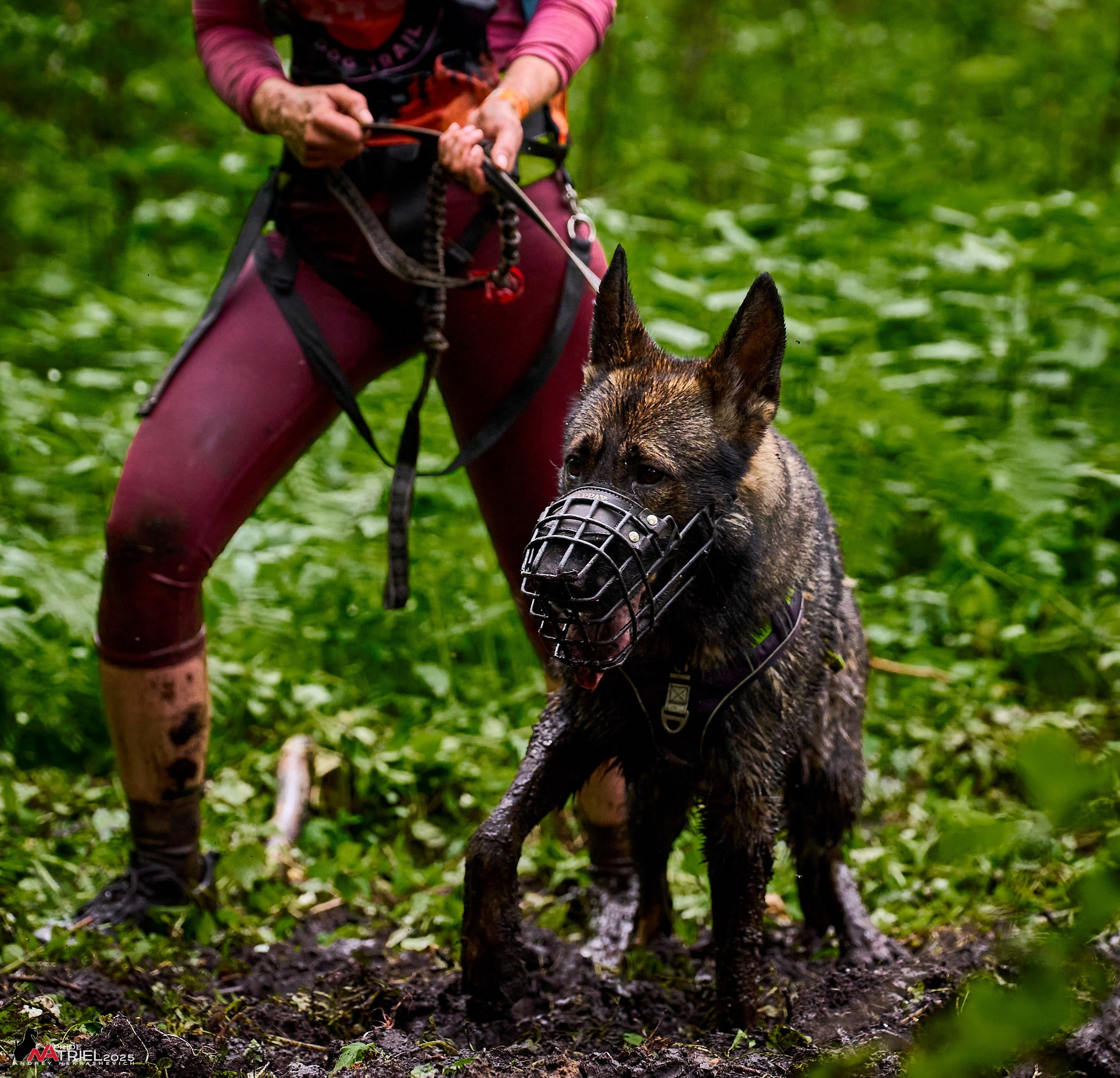Russian Extreme Dog Trail — 2025