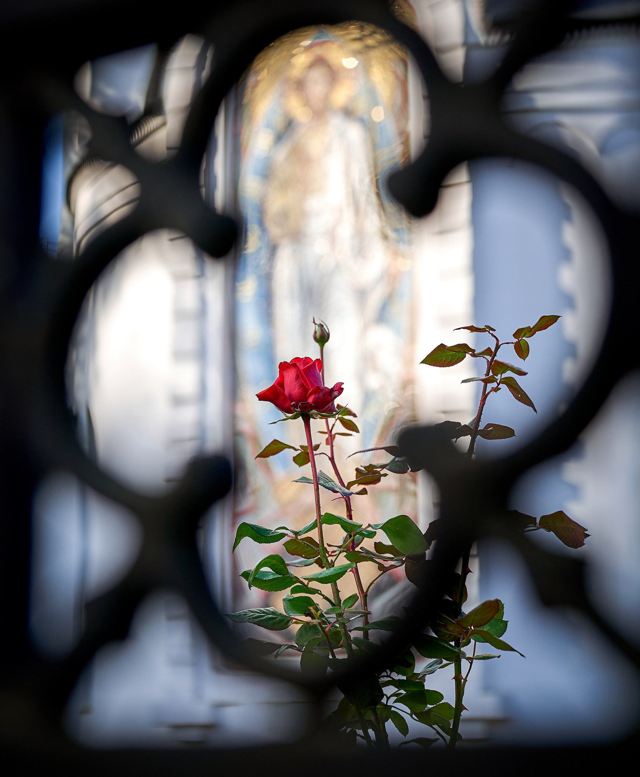 Архитектура и дизайн — галерея NATRIEL