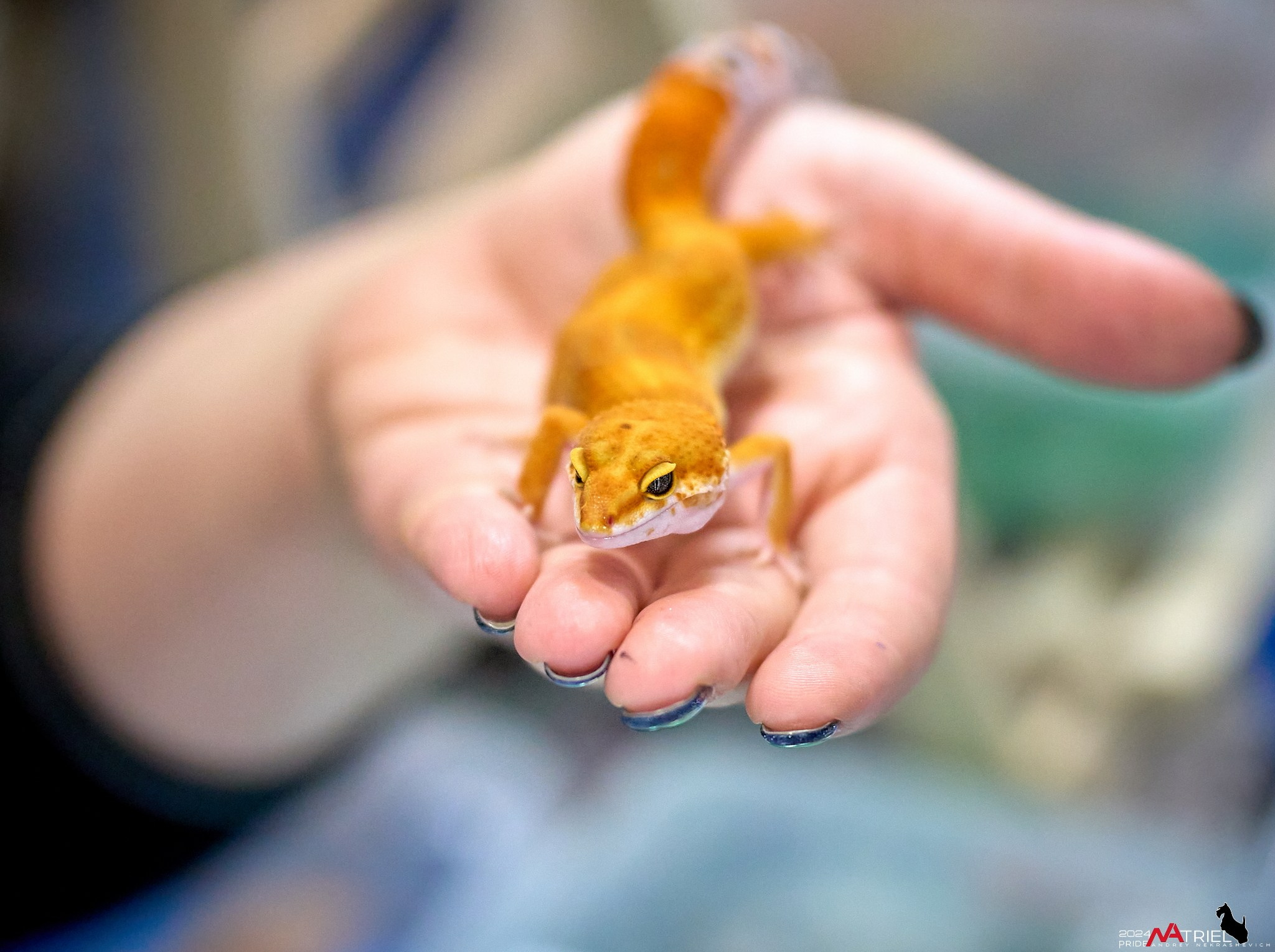 Репортаж с выставки РЕПТИЛИУМ-2024