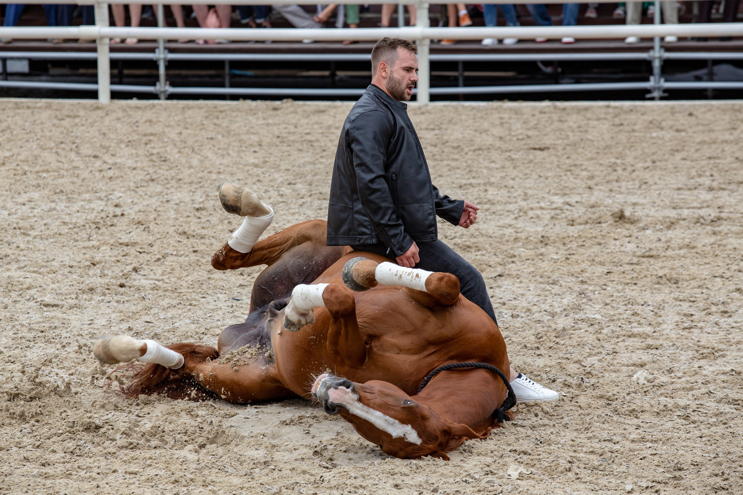 Международный фестиваль Спасская Башня. Photographer Sonkina Tatiana (Tanya Ash)