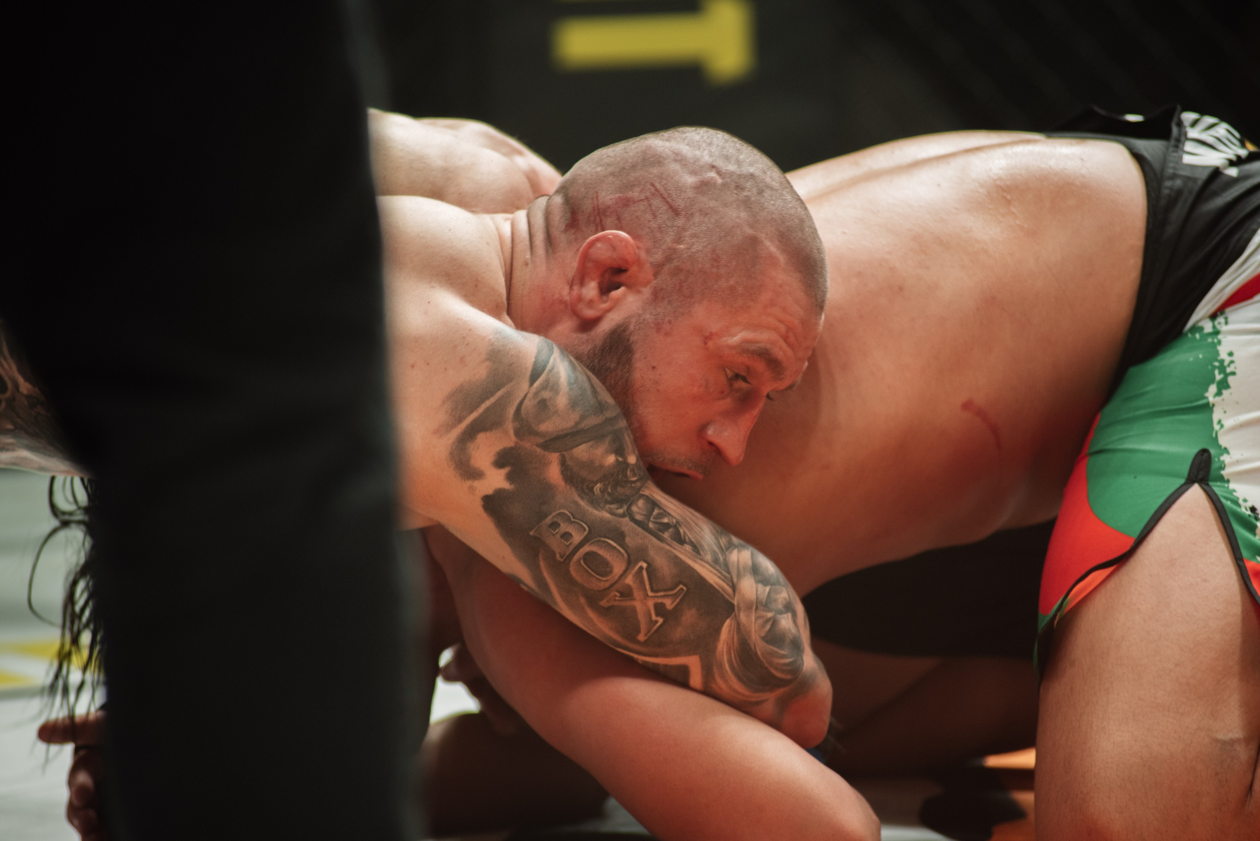 Miroslava Fight