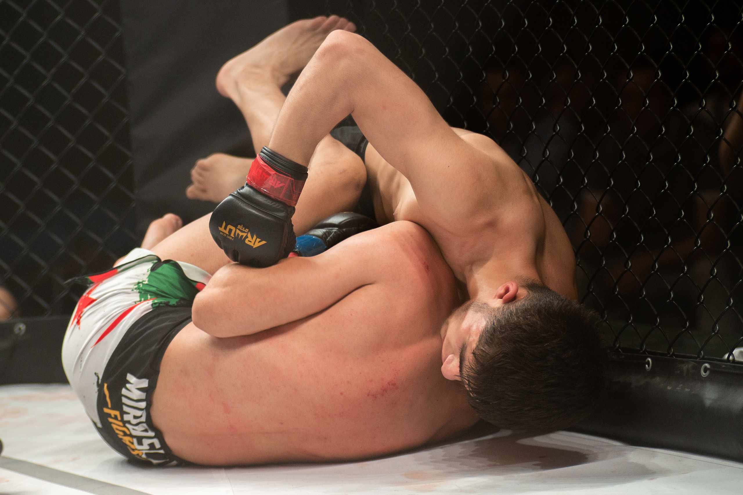 Miroslava Fight