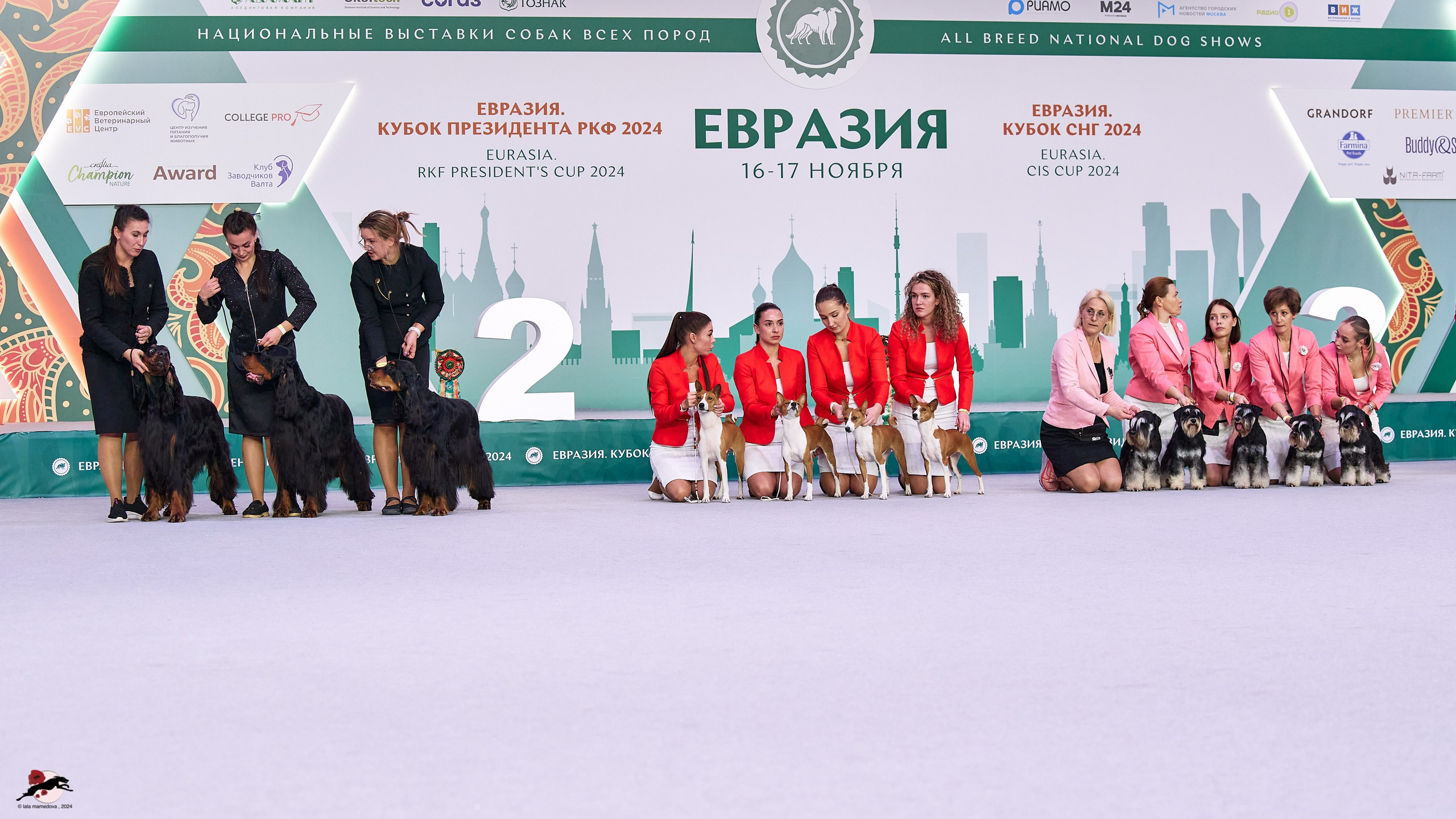 17.11.2024 «ЕВРАЗИЯ. КУБОК СНГ 2024»