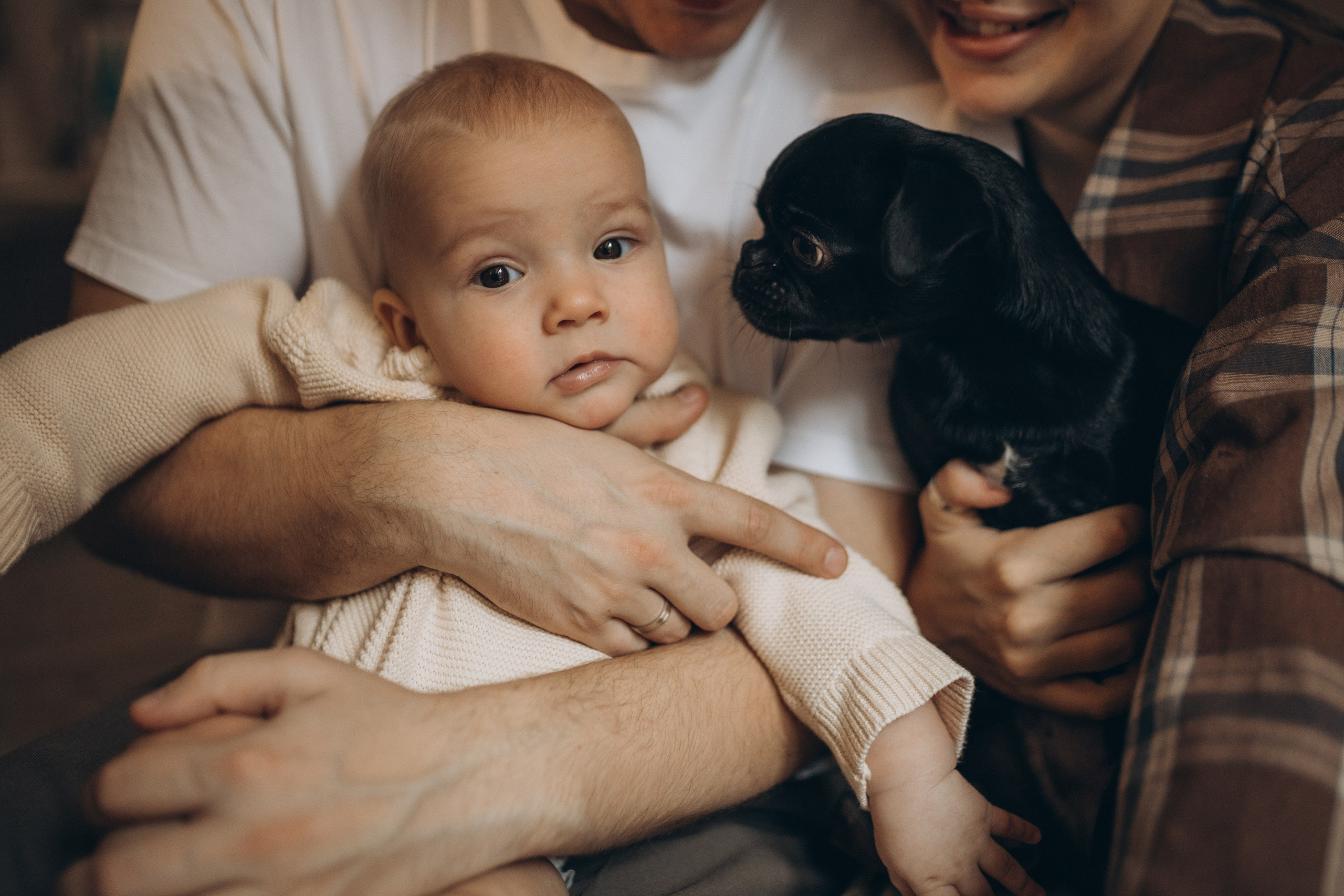 Домашняя новогодняя история про Леона. Семейный фотограф Мария Маркова Москва и Одинцово