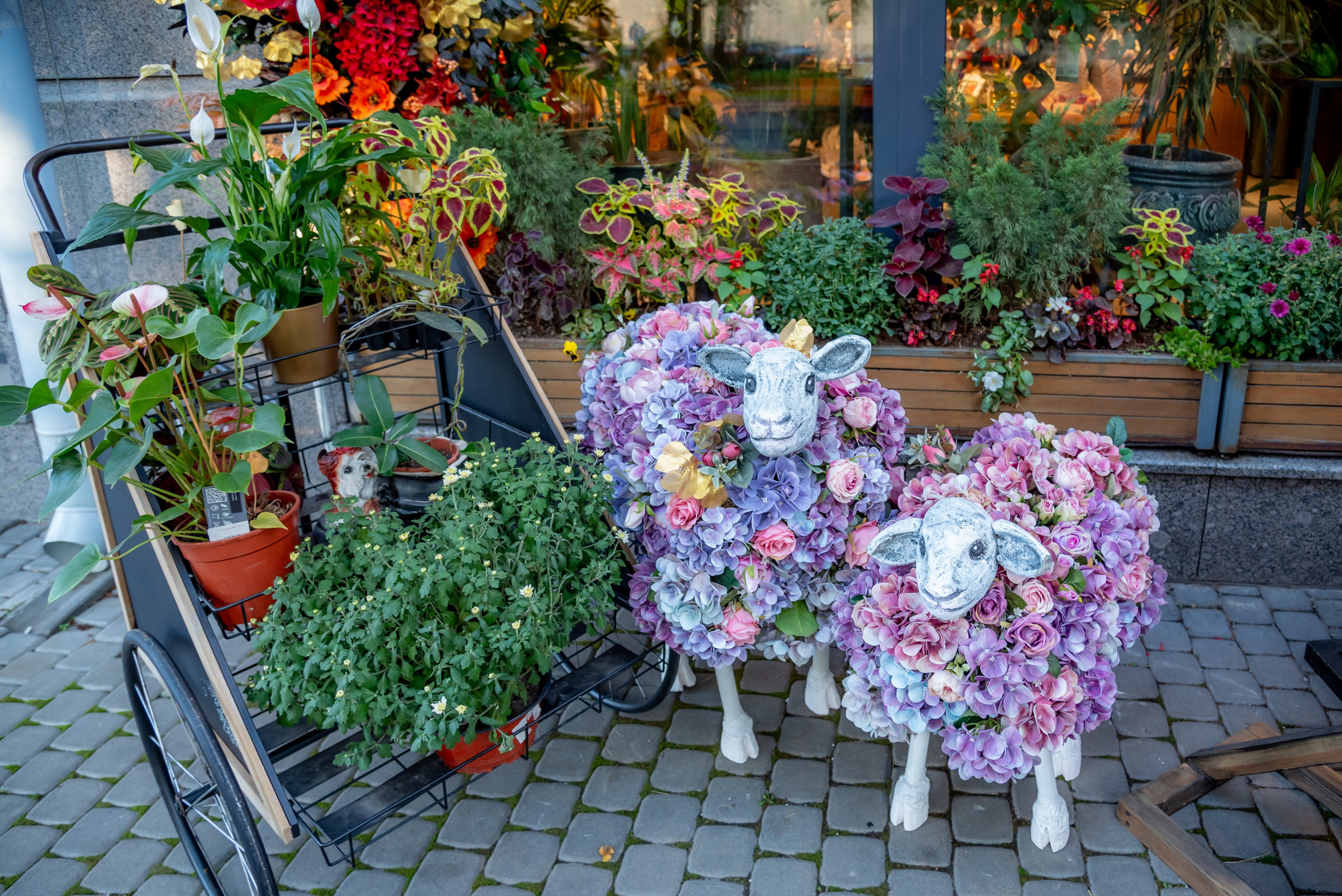 Магазин цветов. Елена Сергеева- фотограф для жизни и бренда. Фотосессии и репортаж мероприятий