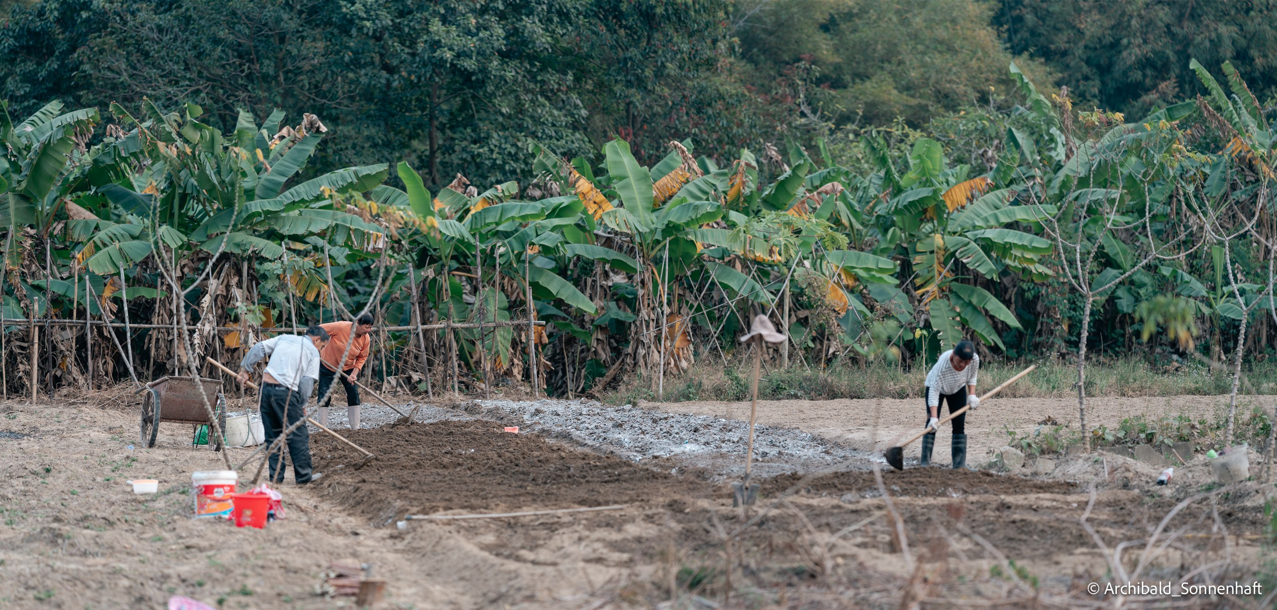 Diaolou in Kaiping. Photographer in Guangzhou, China. Archibald Sonnenhaft
