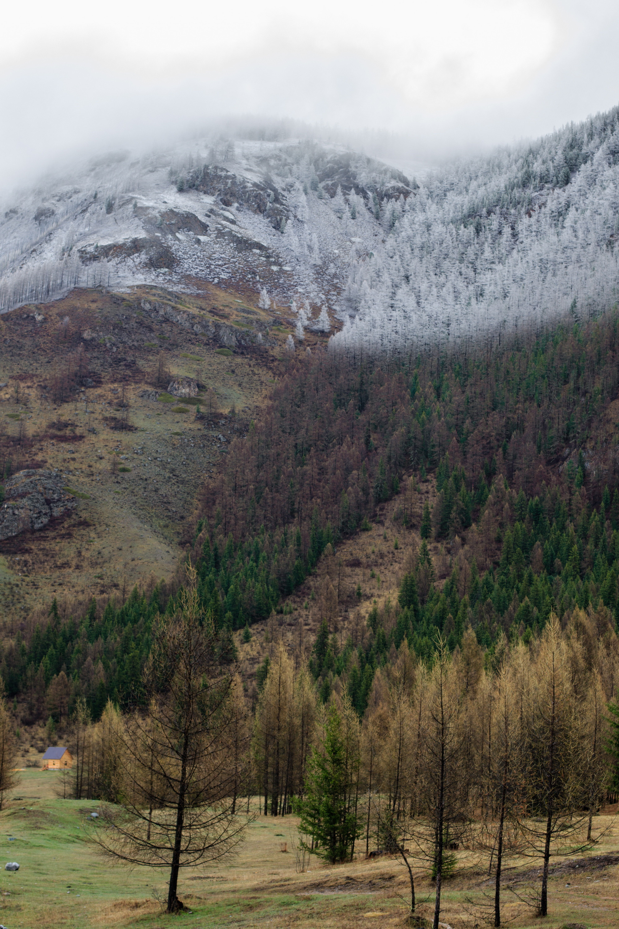 Мой Алтай. Фотограф Кирилл Мешков Кемерово