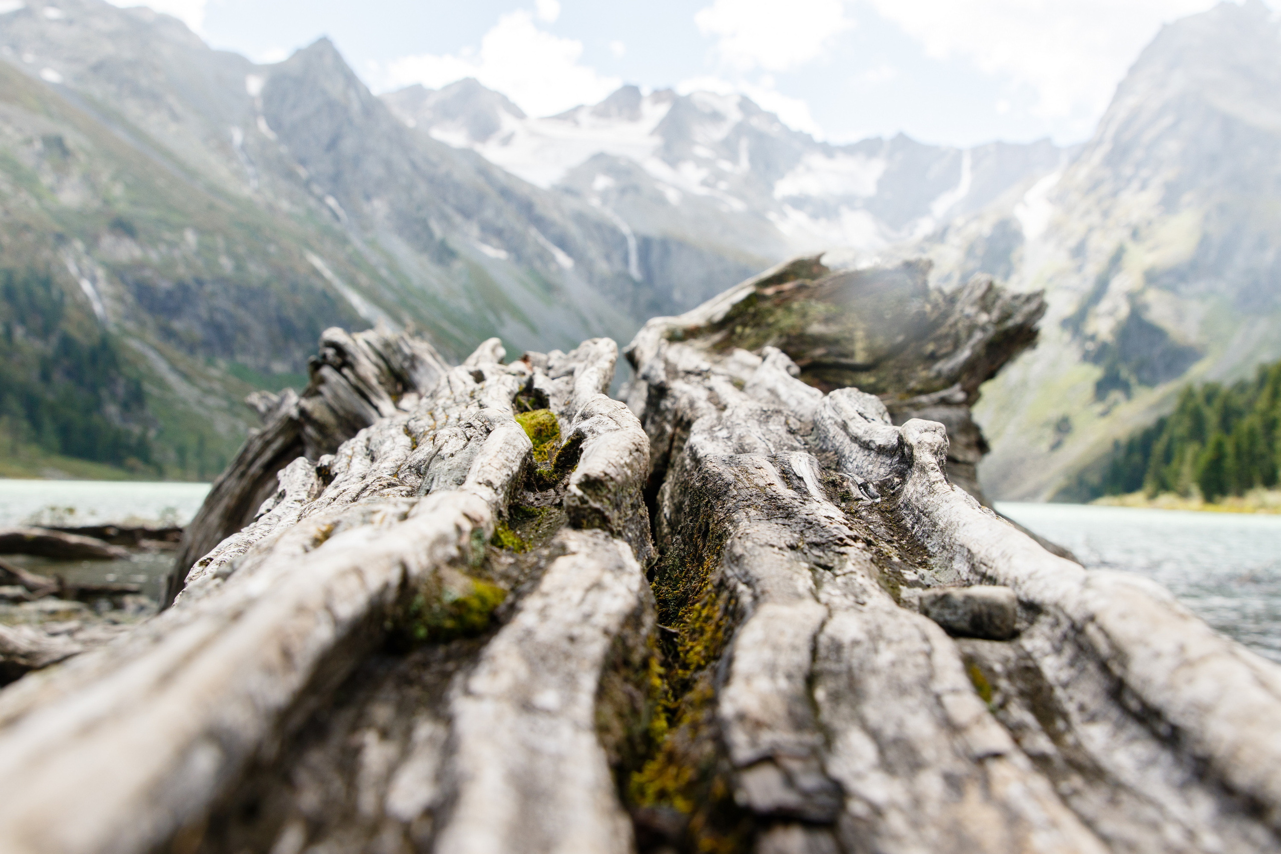Мой Алтай. Фотограф Кирилл Мешков Кемерово