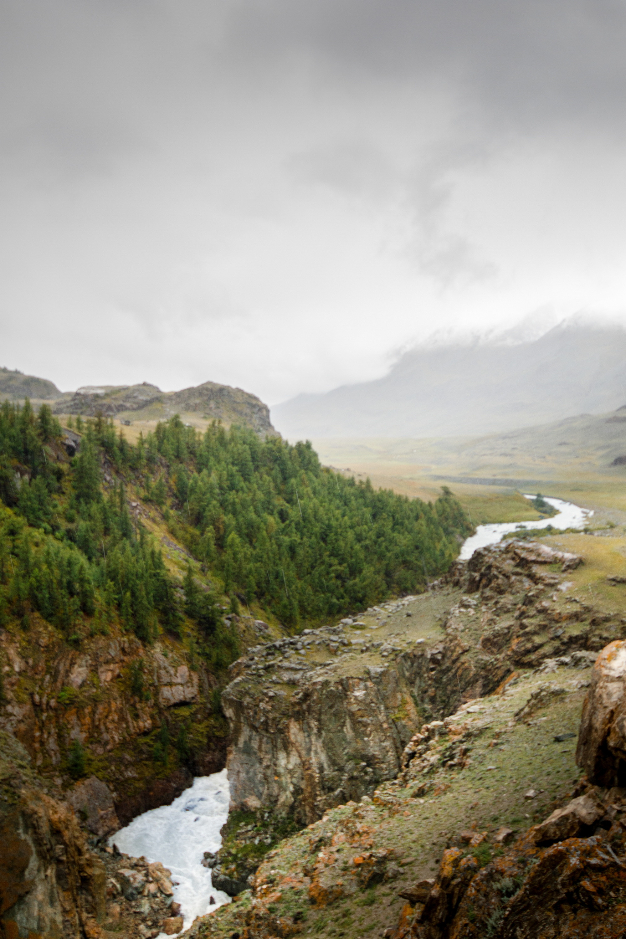 Мой Алтай. Фотограф Кирилл Мешков Кемерово