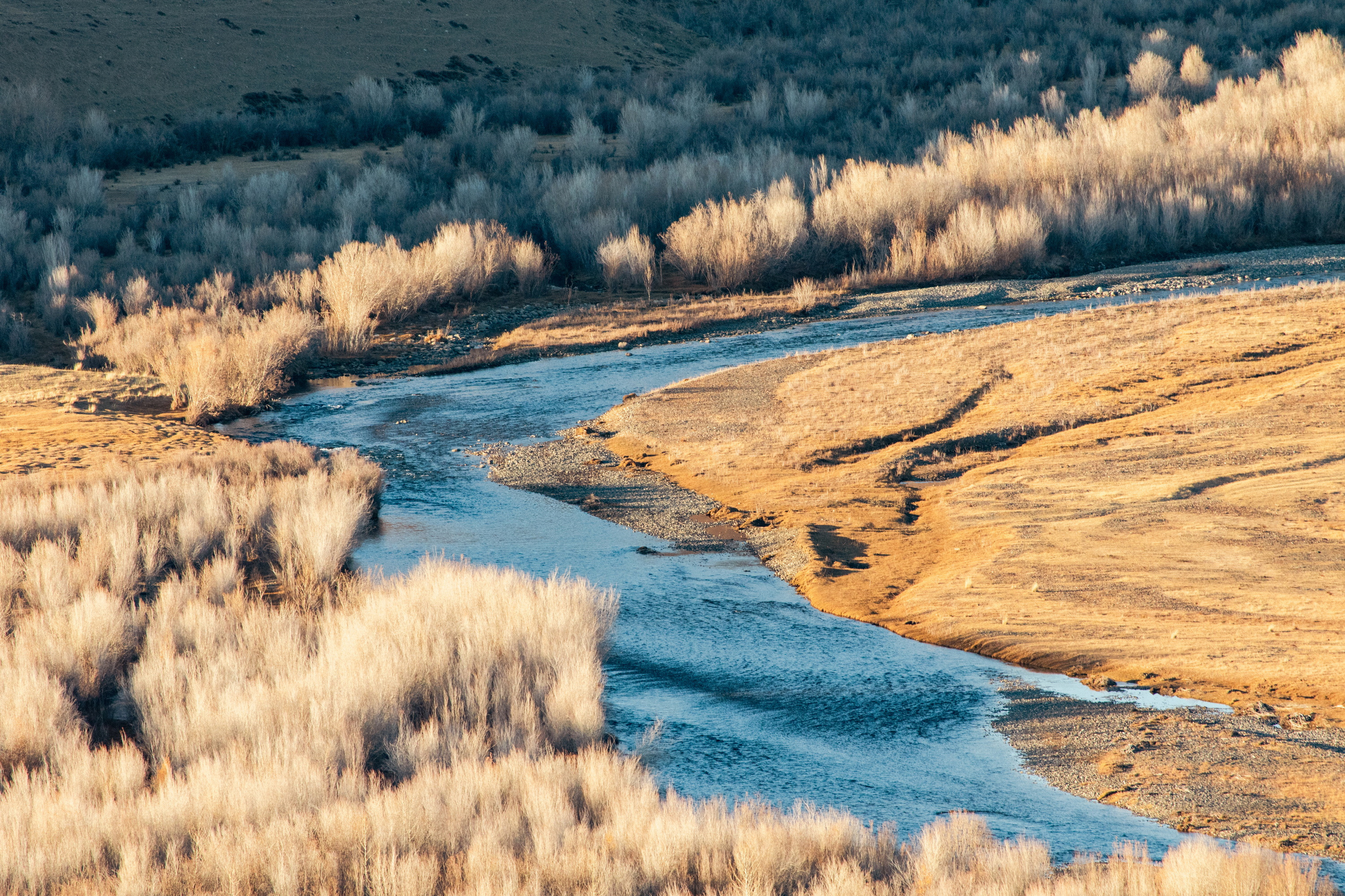 Мой Алтай. Фотограф Кирилл Мешков Кемерово