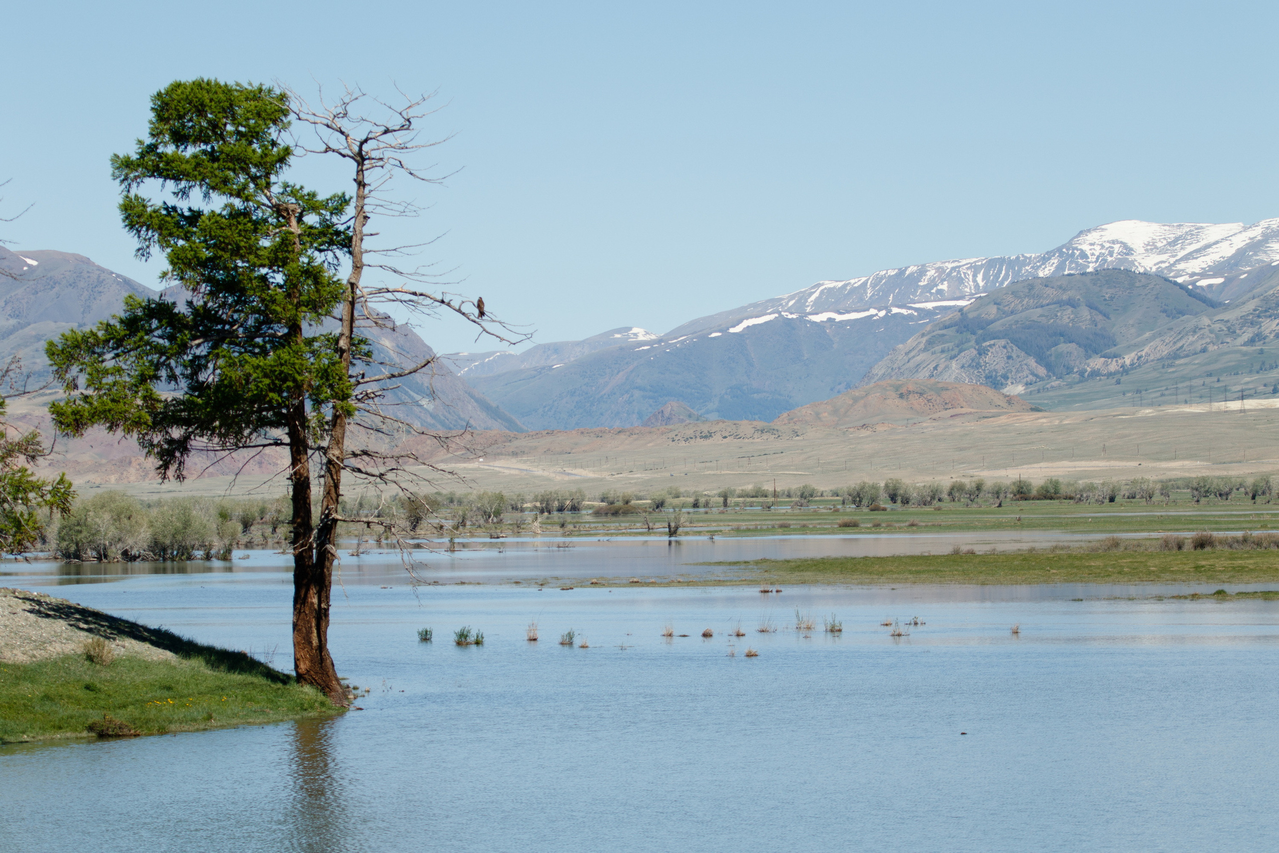 Мой Алтай. Фотограф Кирилл Мешков Кемерово