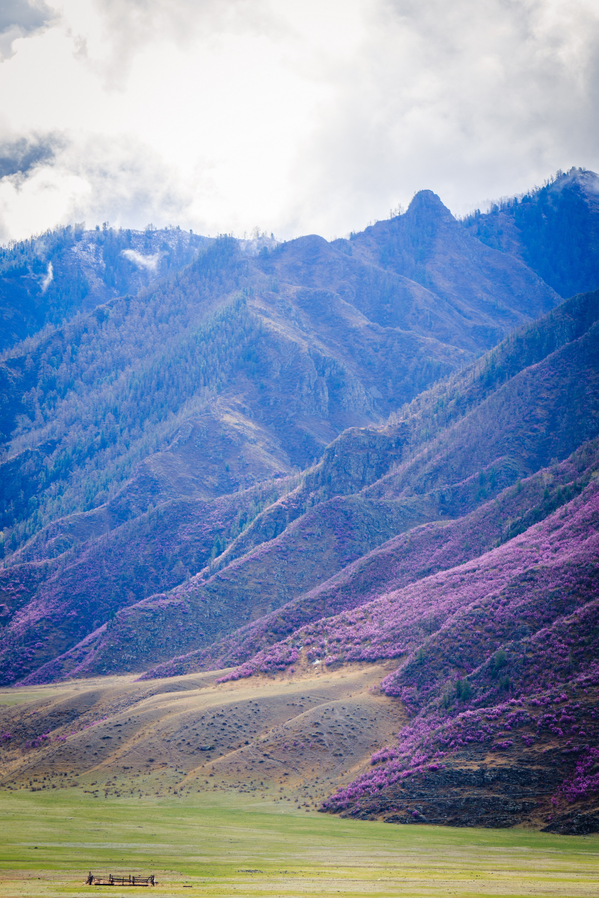 Мой Алтай. Фотограф Кирилл Мешков Кемерово