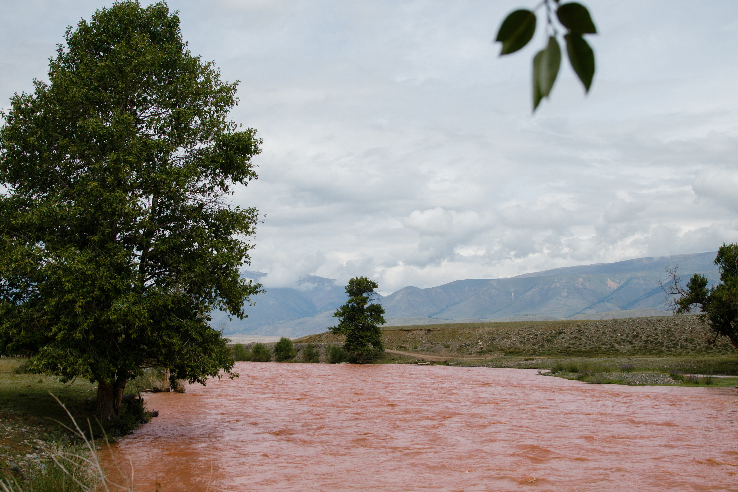 Мой Алтай. Фотограф Кирилл Мешков Кемерово