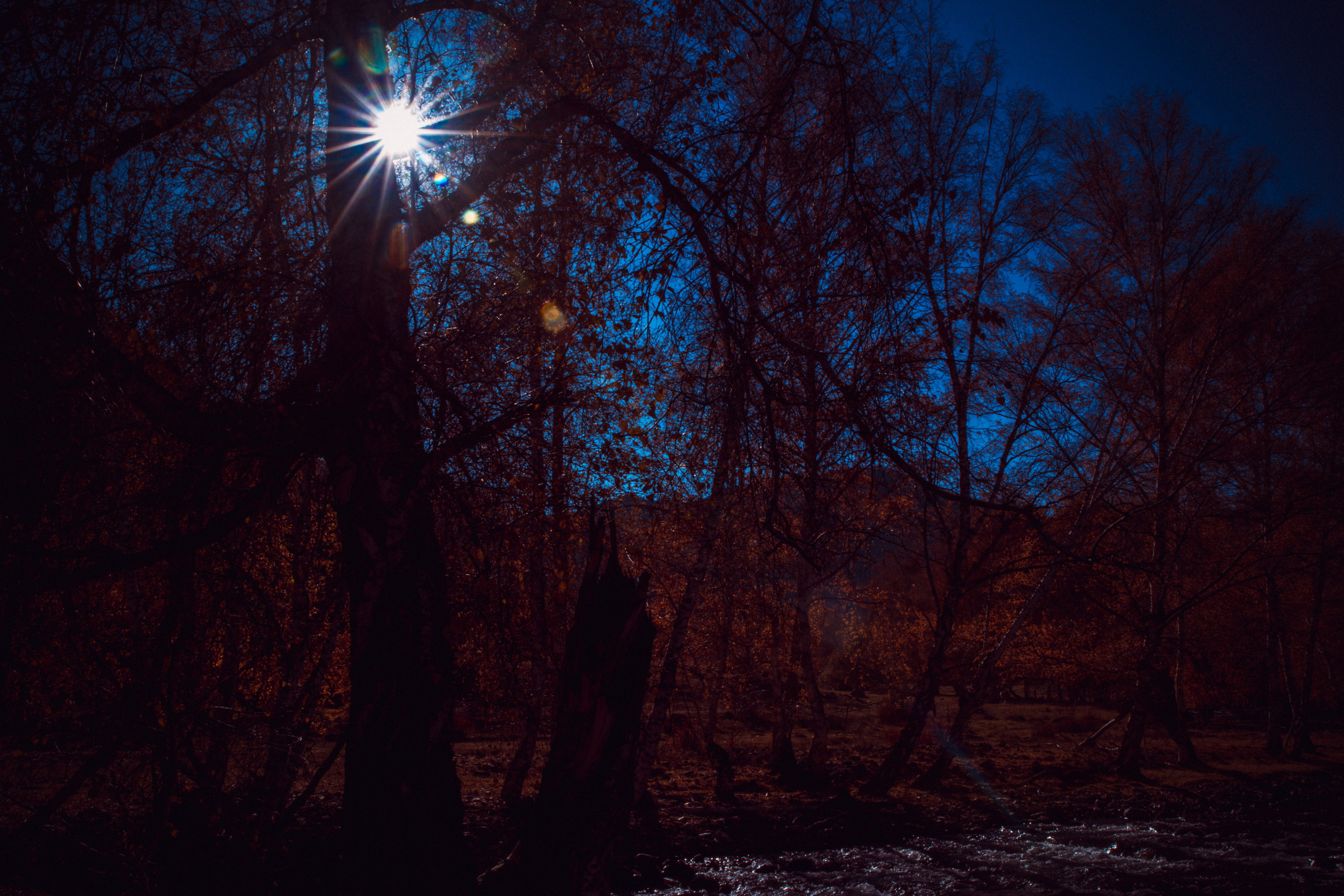 Мой Алтай. Фотограф Кирилл Мешков Кемерово