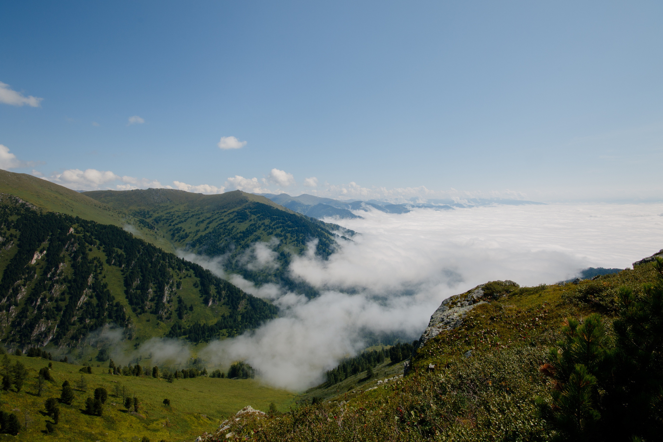 Мой Алтай. Фотограф Кирилл Мешков Кемерово