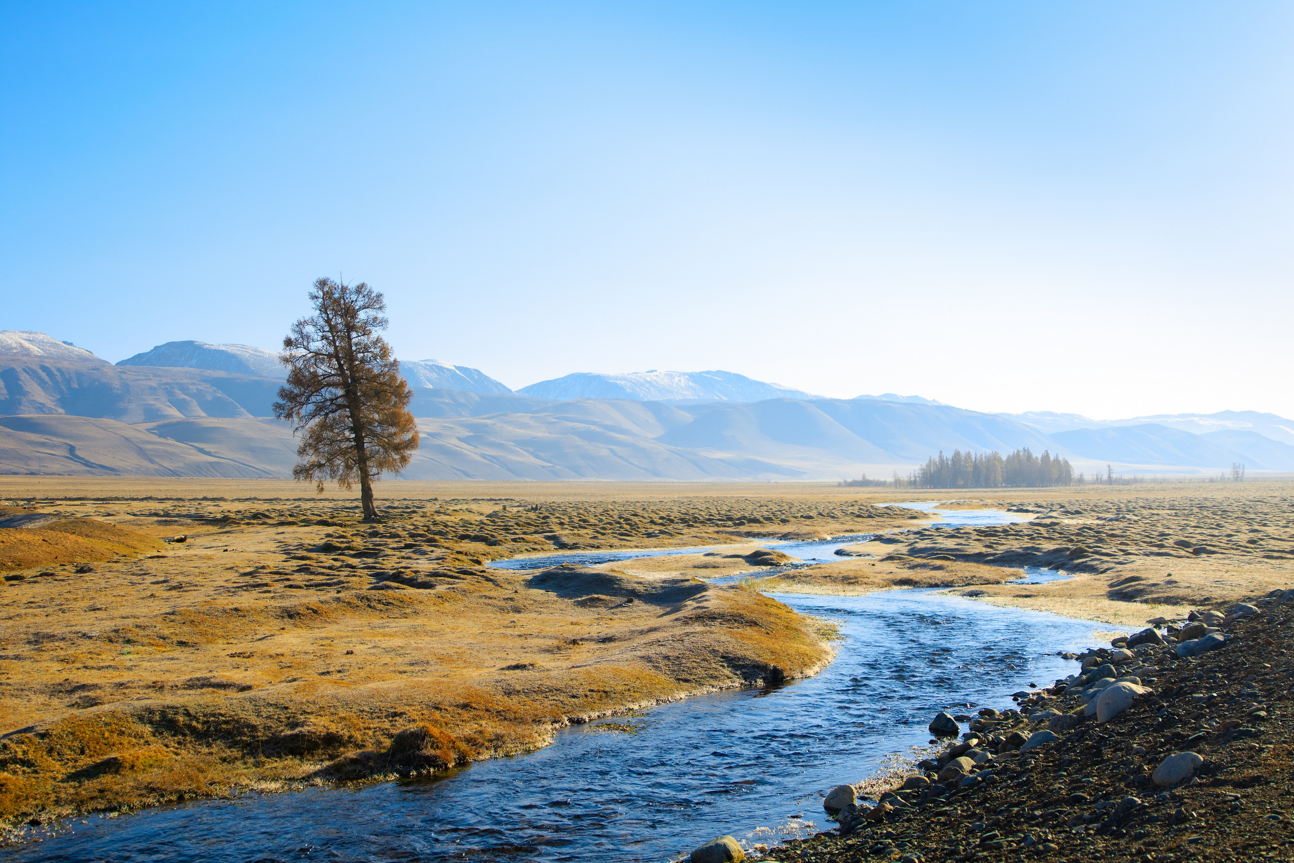 Мой Алтай. Фотограф Кирилл Мешков Кемерово