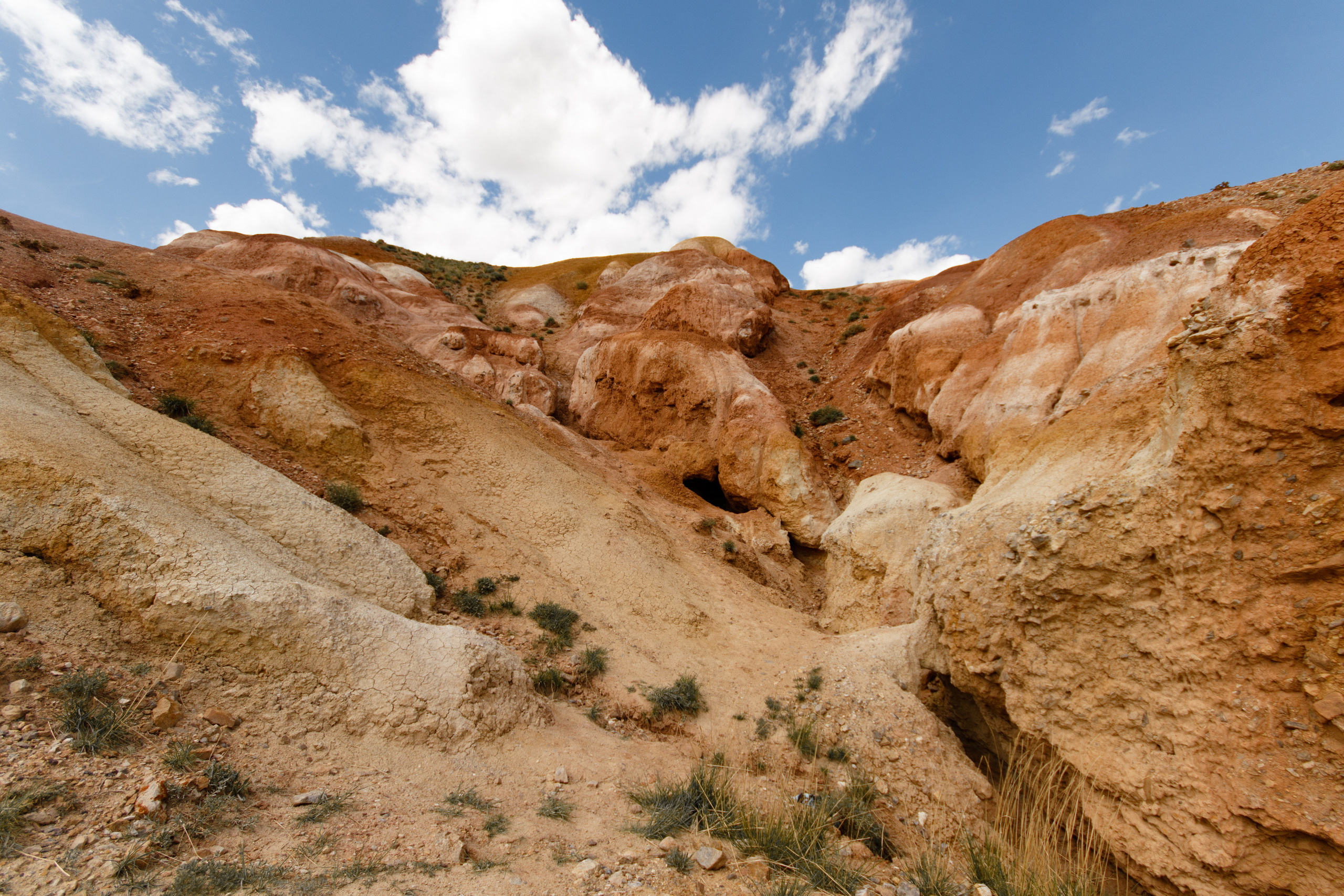 Мой Алтай. Фотограф Кирилл Мешков Кемерово