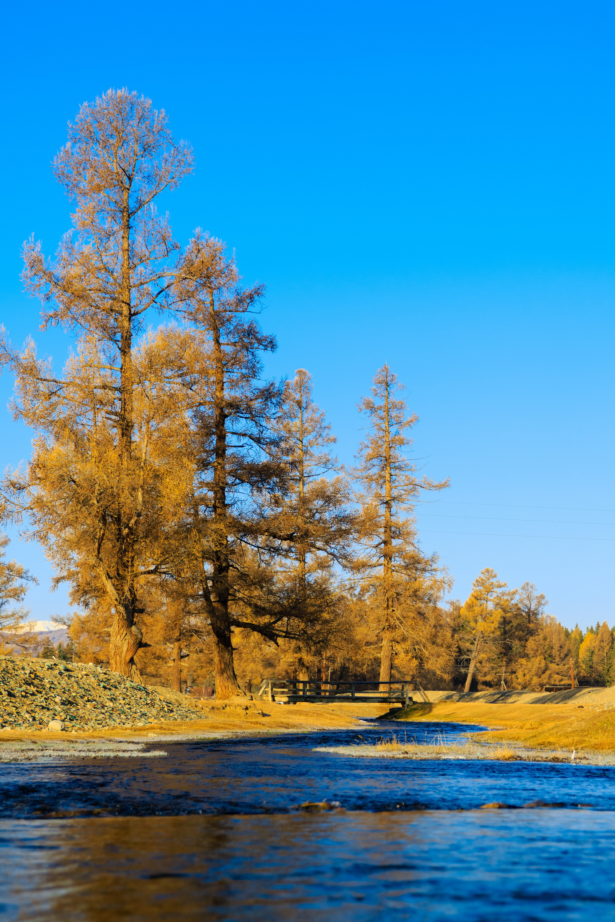 Мой Алтай. Фотограф Кирилл Мешков Кемерово