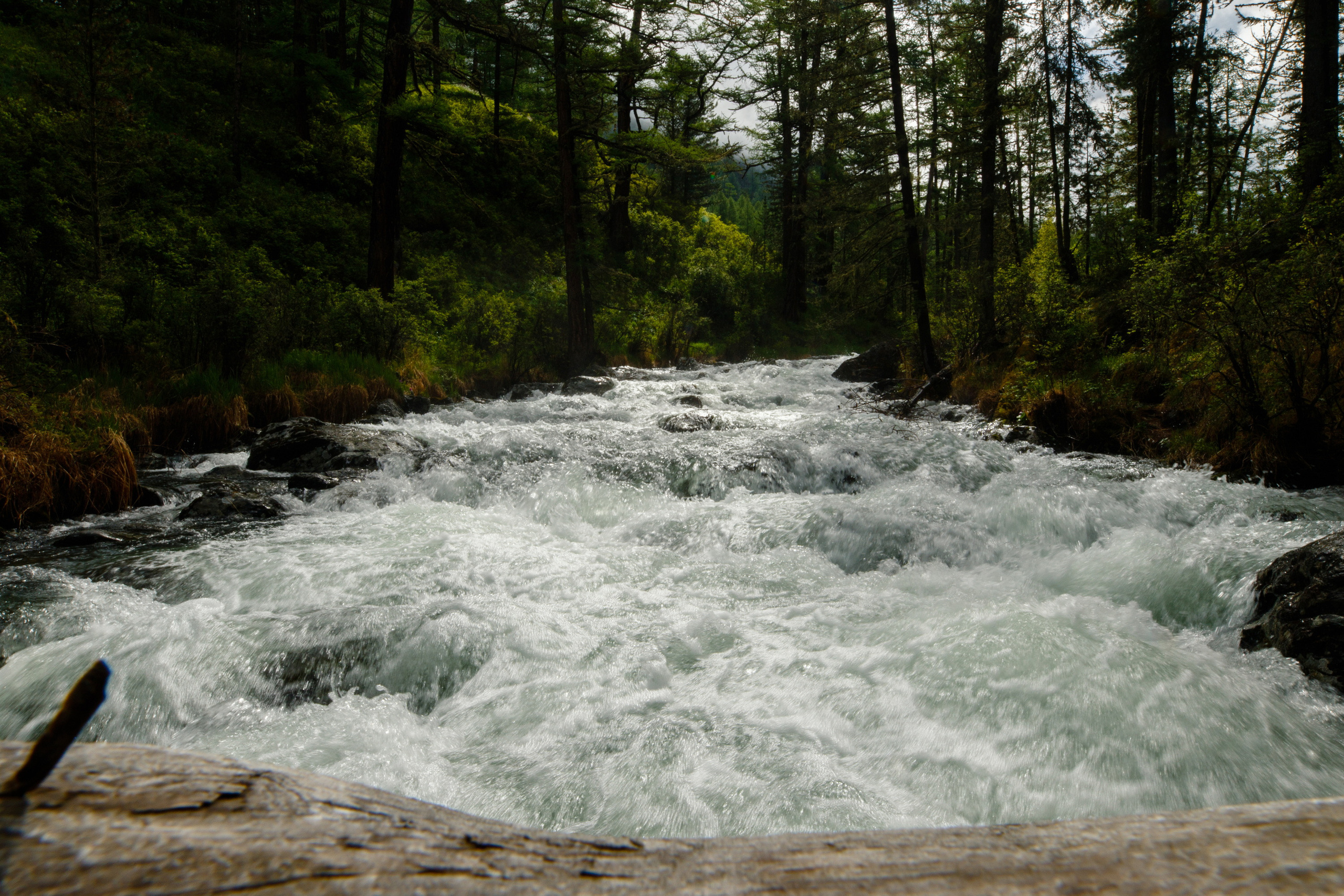 Мой Алтай. Фотограф Кирилл Мешков Кемерово