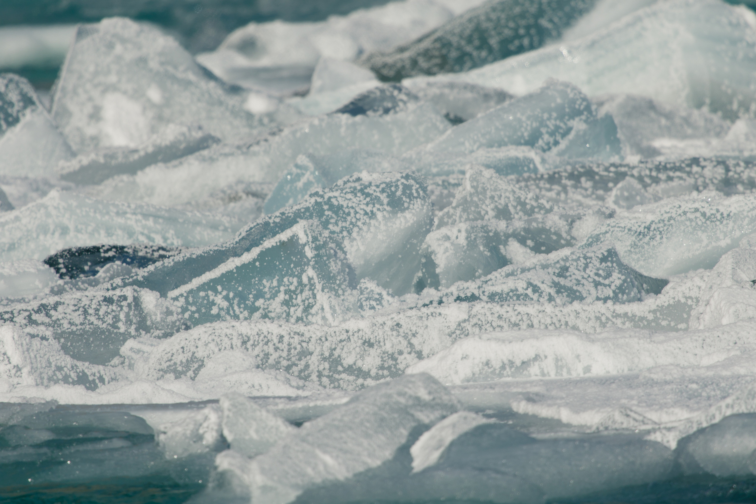 Мой Алтай. Фотограф Кирилл Мешков Кемерово