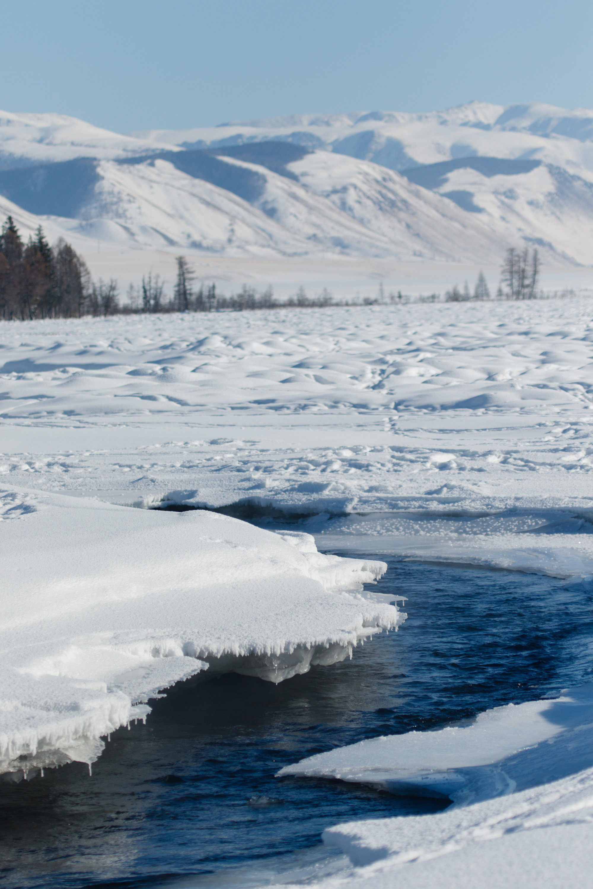 Мой Алтай. Фотограф Кирилл Мешков Кемерово