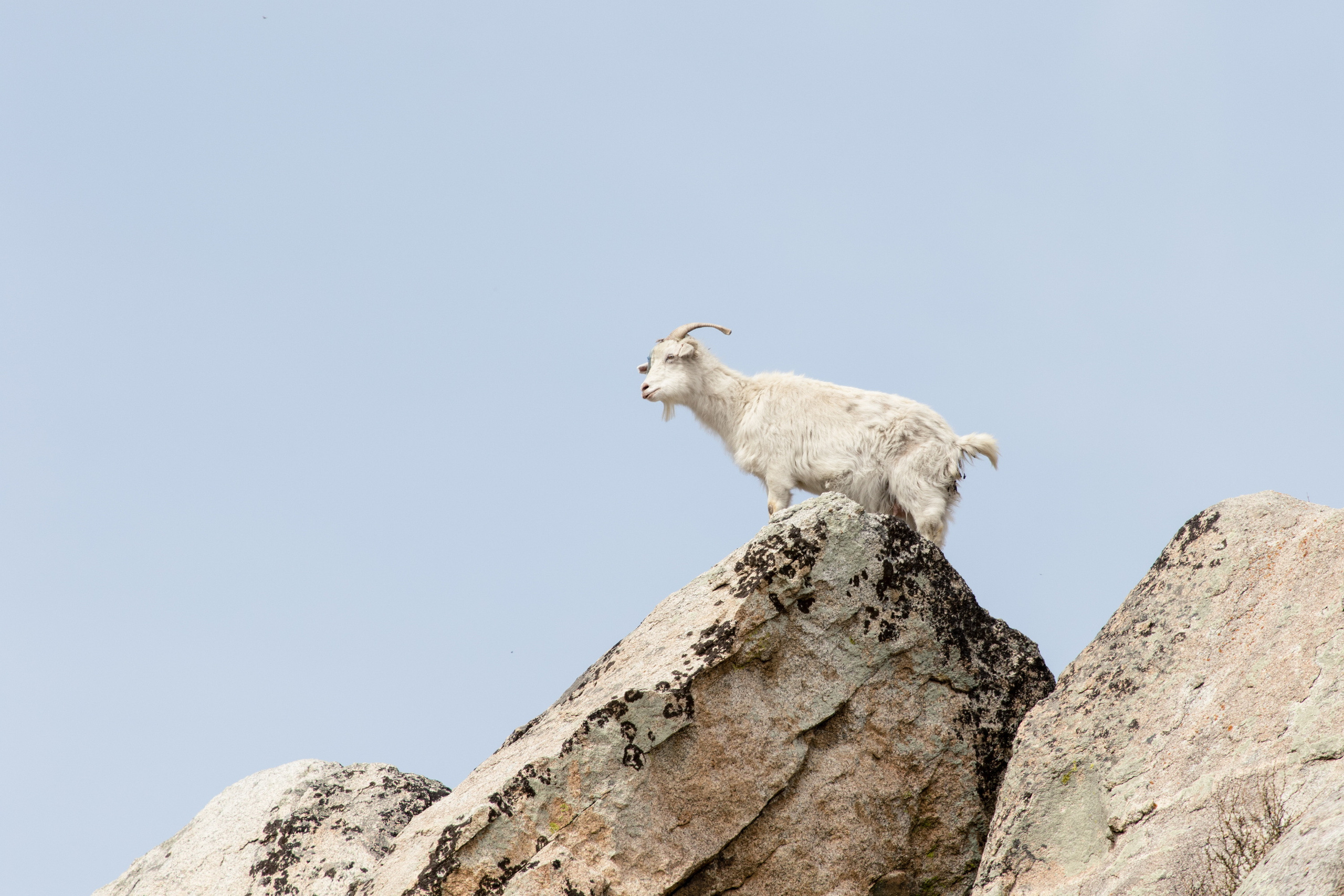 Мой Алтай. Фотограф Кирилл Мешков Кемерово