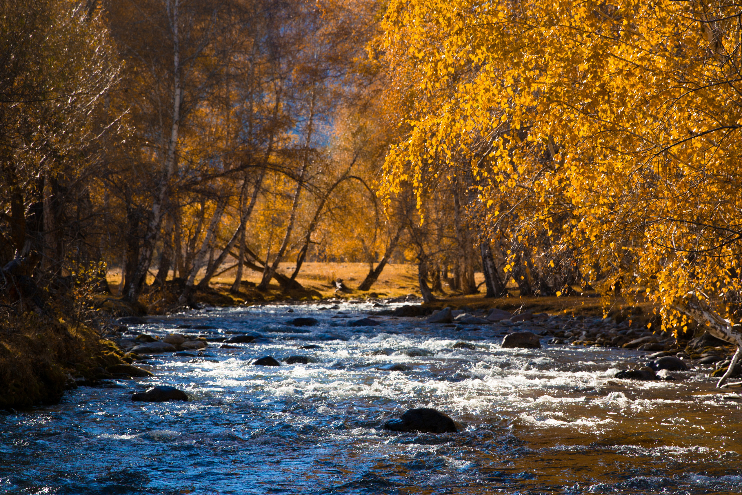 Мой Алтай. Фотограф Кирилл Мешков Кемерово