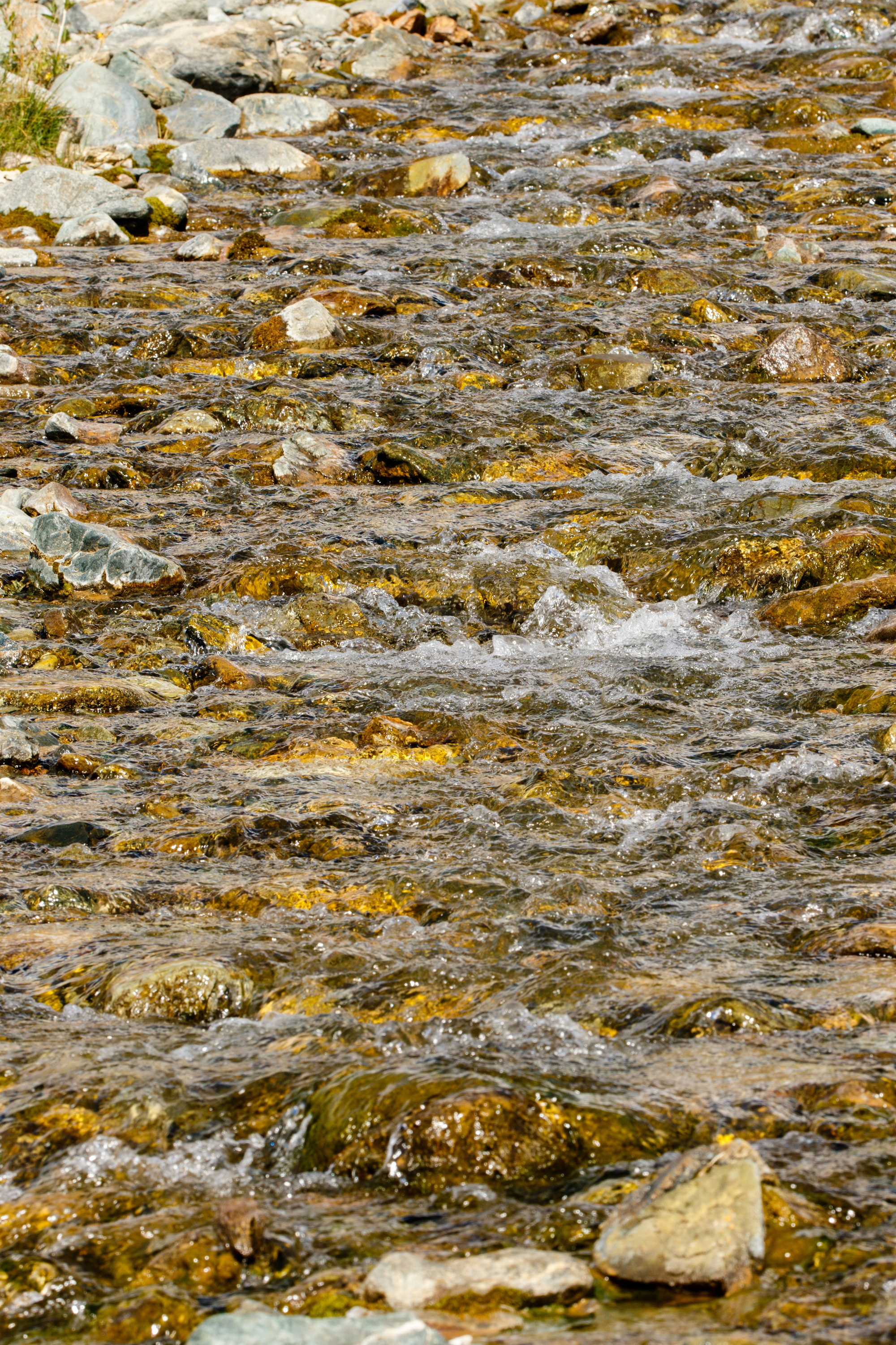 Мой Алтай. Фотограф Кирилл Мешков Кемерово