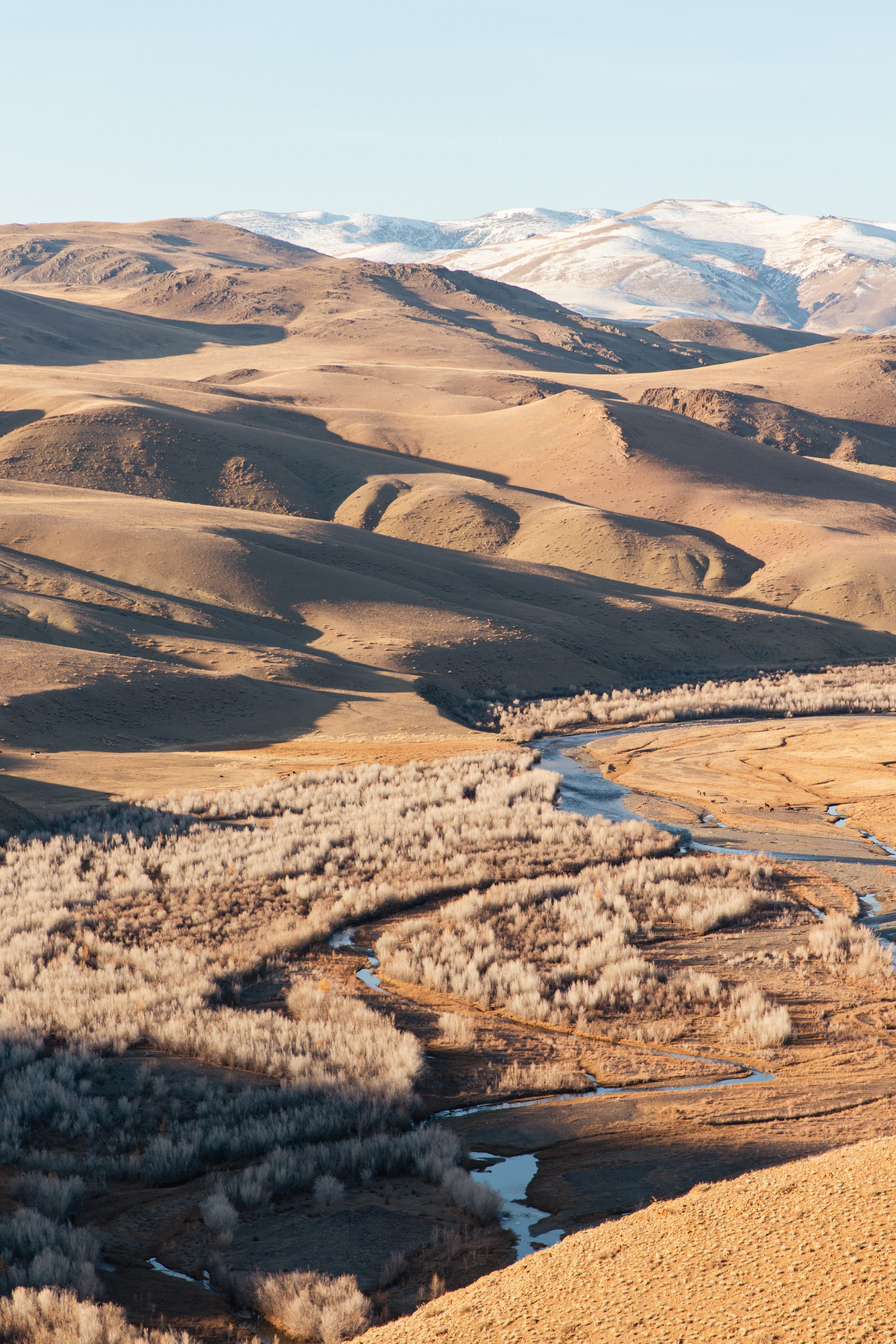 Мой Алтай. Фотограф Кирилл Мешков Кемерово