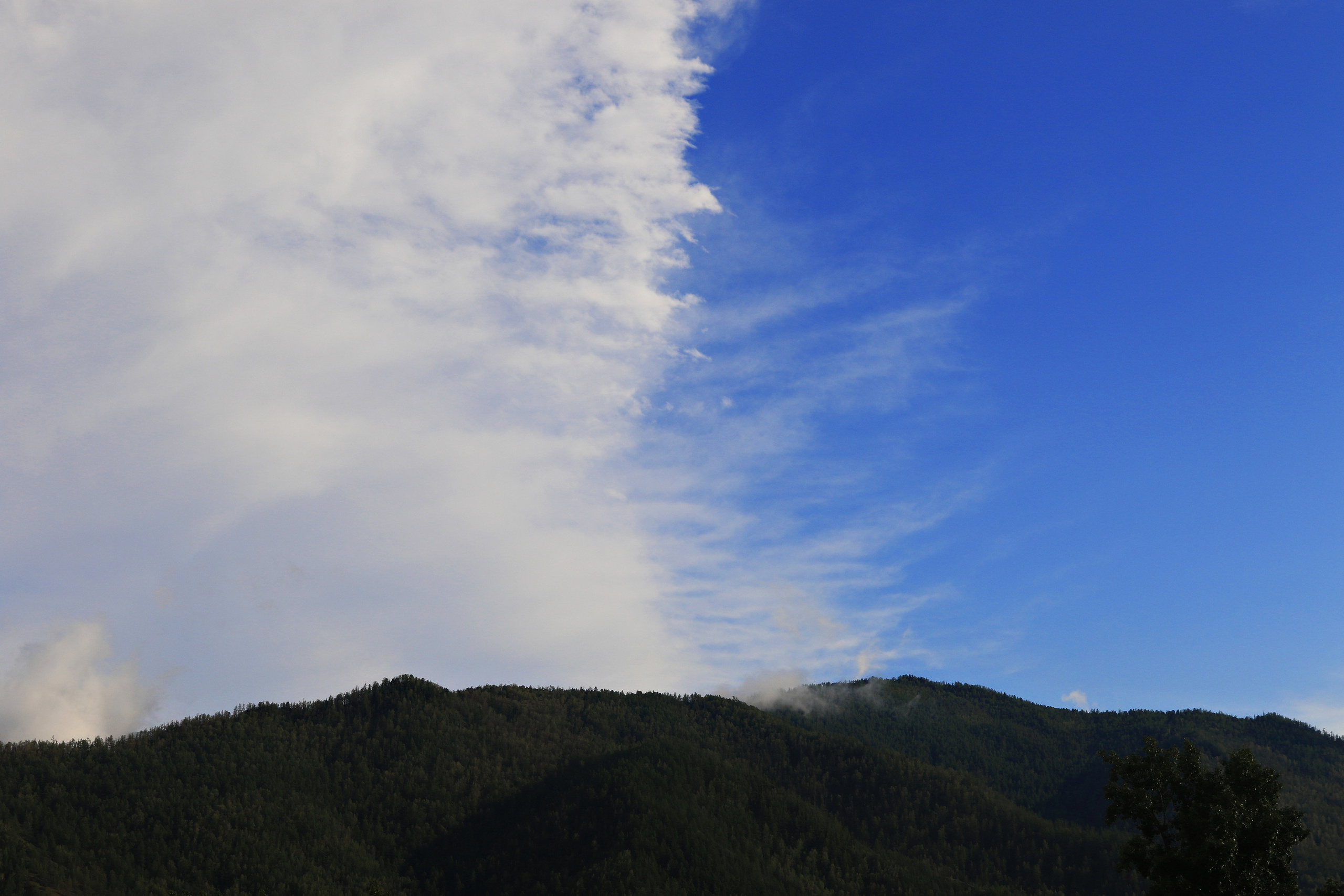 Мой Алтай. Фотограф Кирилл Мешков Кемерово