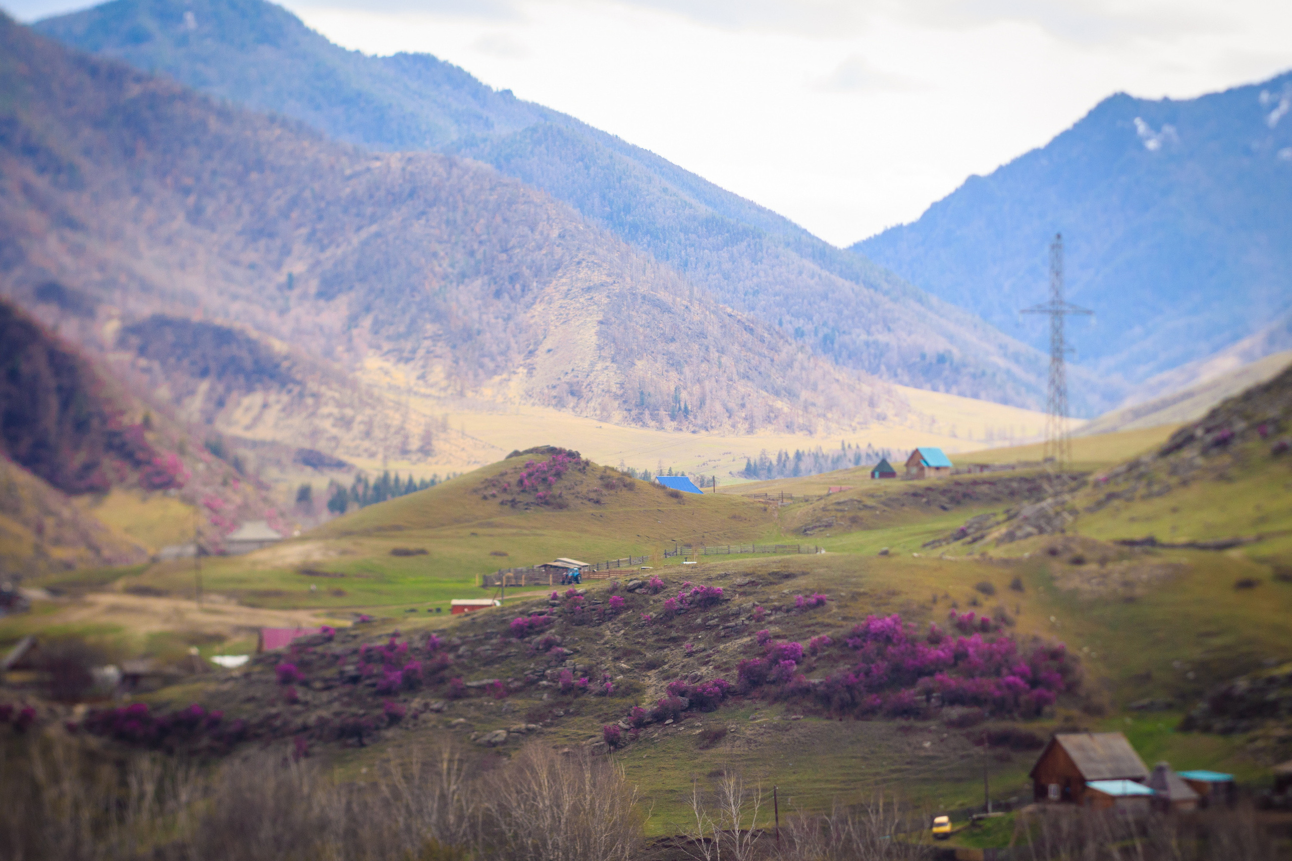 Мой Алтай. Фотограф Кирилл Мешков Кемерово
