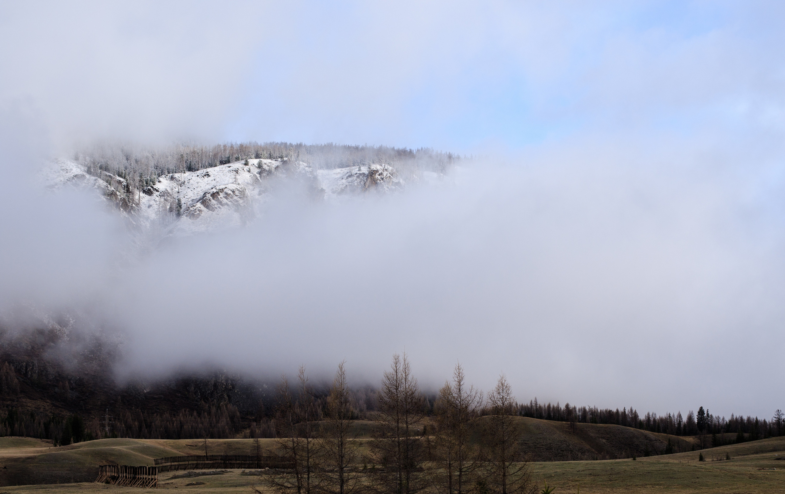 Мой Алтай. Фотограф Кирилл Мешков Кемерово